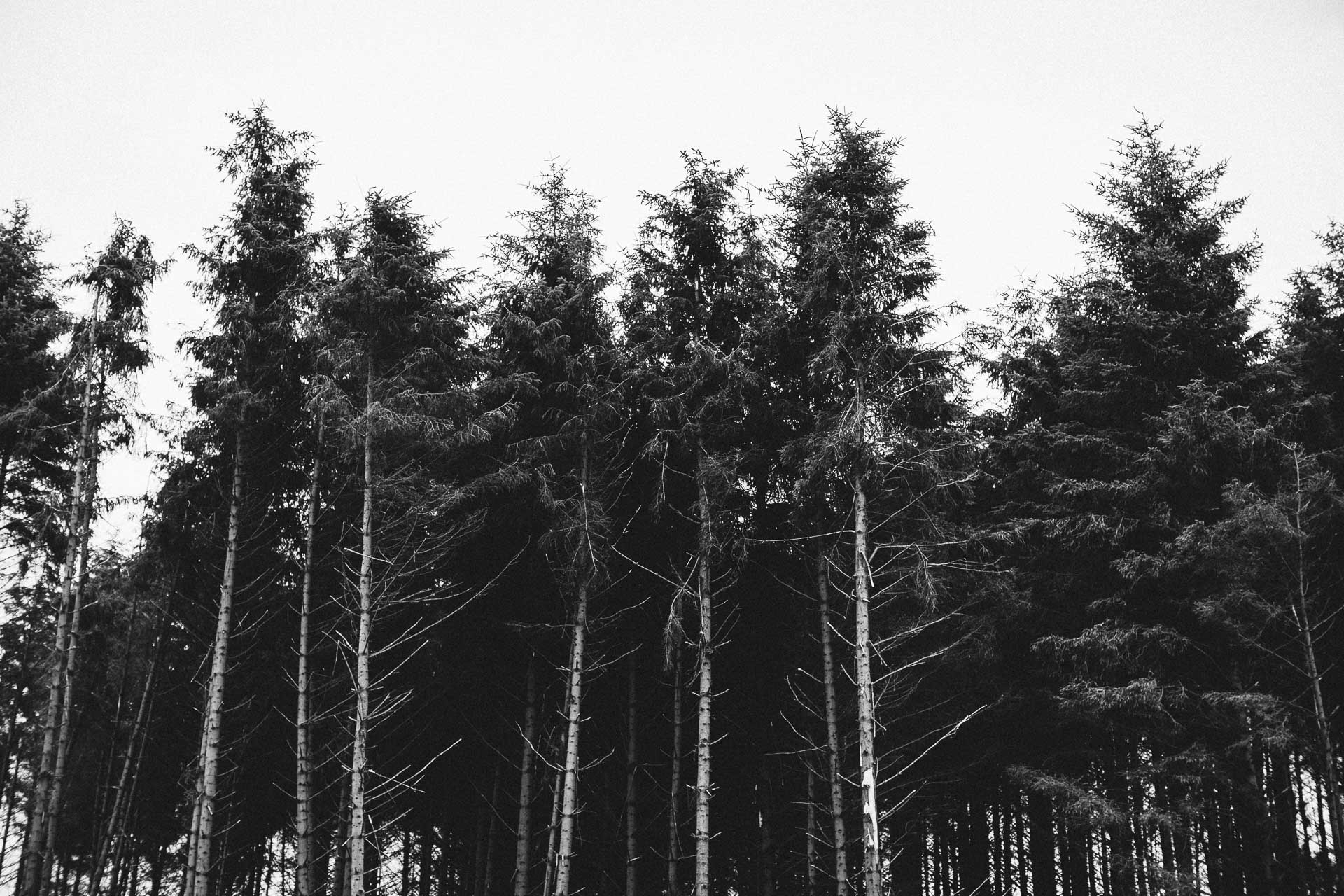 Isle Of Skye Intimate Elopement in Scotland by Jean-Laurent Gaudy Photography