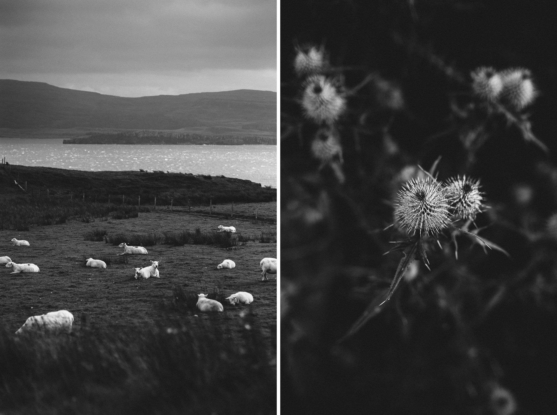 Isle Of Skye Intimate Elopement in Scotland by Jean-Laurent Gaudy Photography