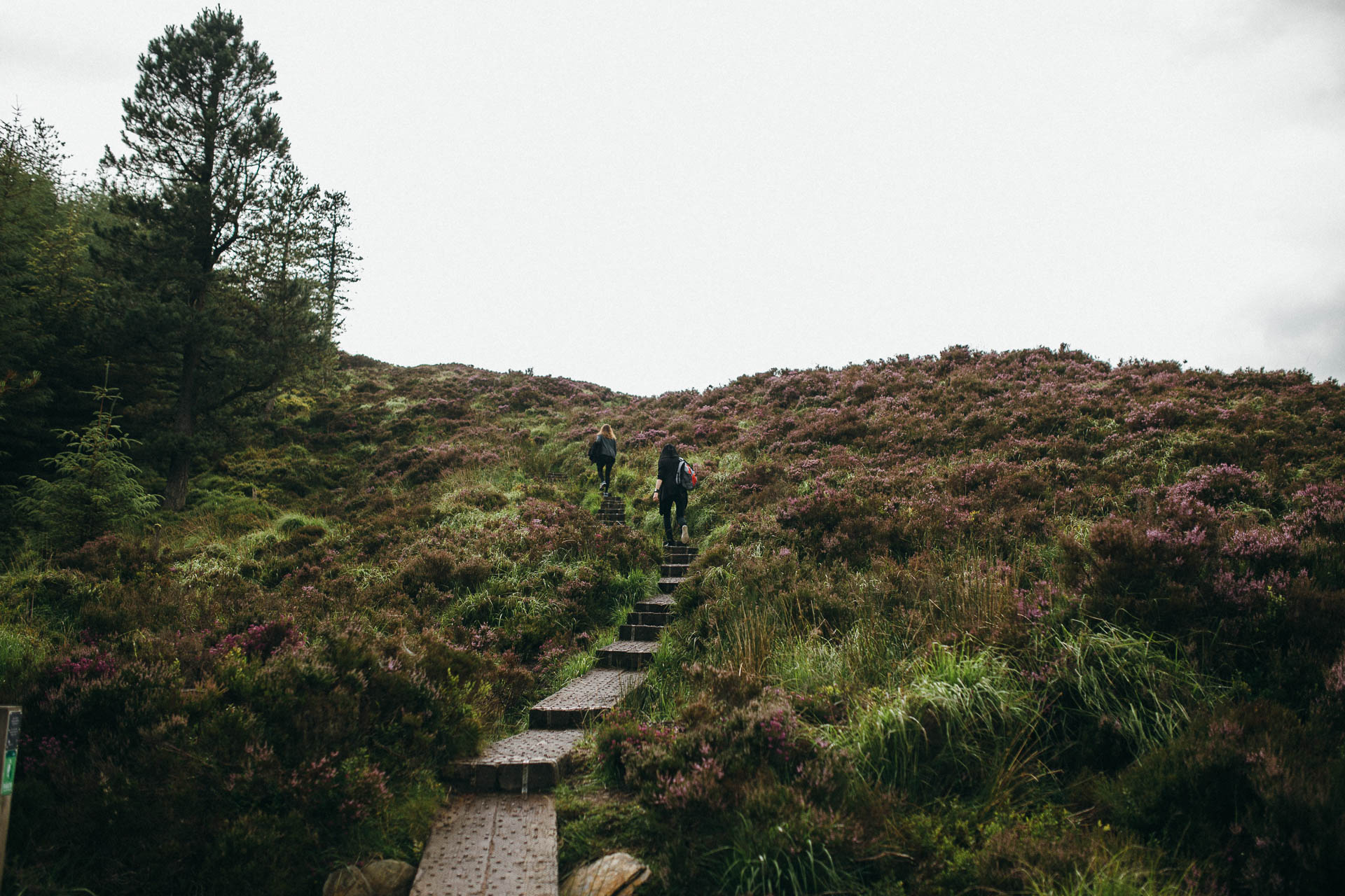 Wicklow Mountains Engagement Session in Ireland by Jean-Laurent Gaudy Photography