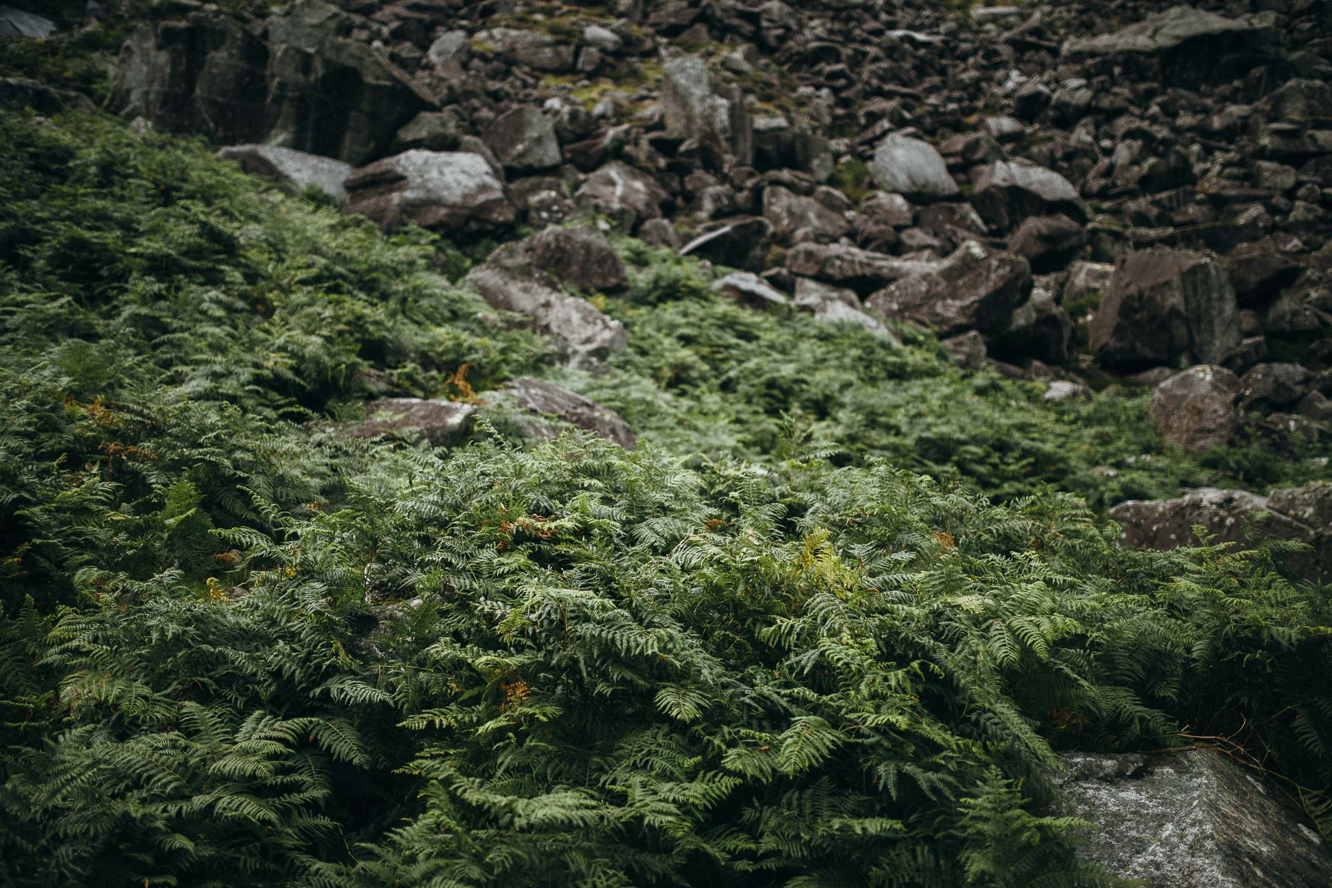 Wicklow Mountains Engagement Session in Ireland by Jean-Laurent Gaudy Photography