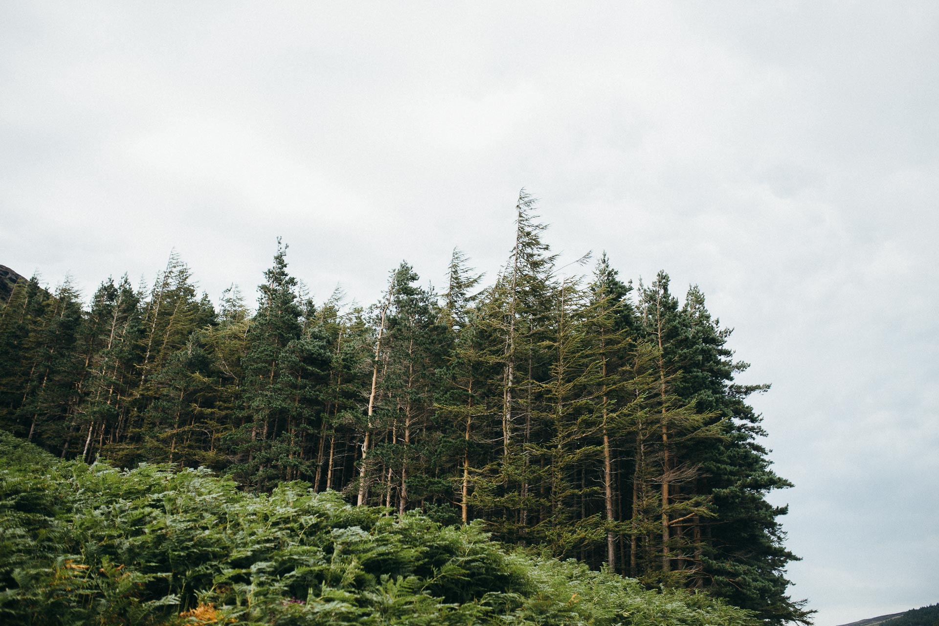 Wicklow Mountains Engagement Session in Ireland by Jean-Laurent Gaudy Photography