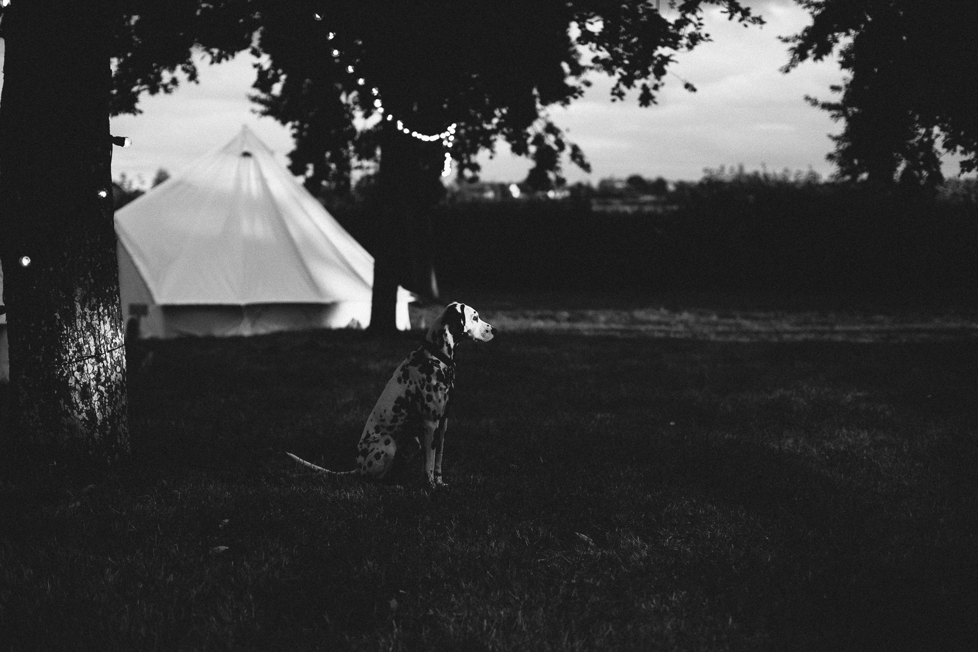 Ford Farm Wedding England Photographer UK by Jean-Laurent Gaudy Photography