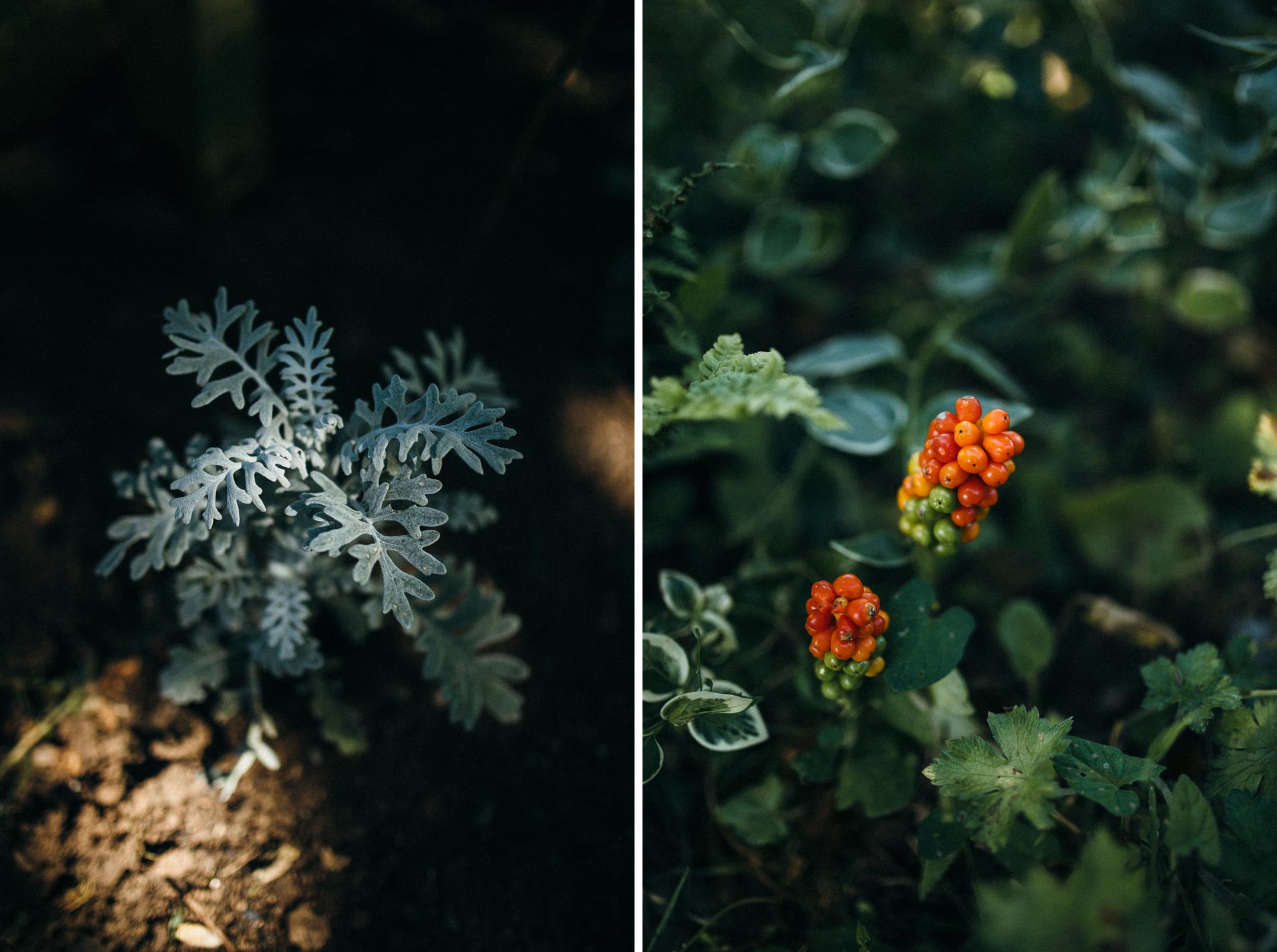 Ford Farm Wedding England Photographer UK by Jean-Laurent Gaudy Photography