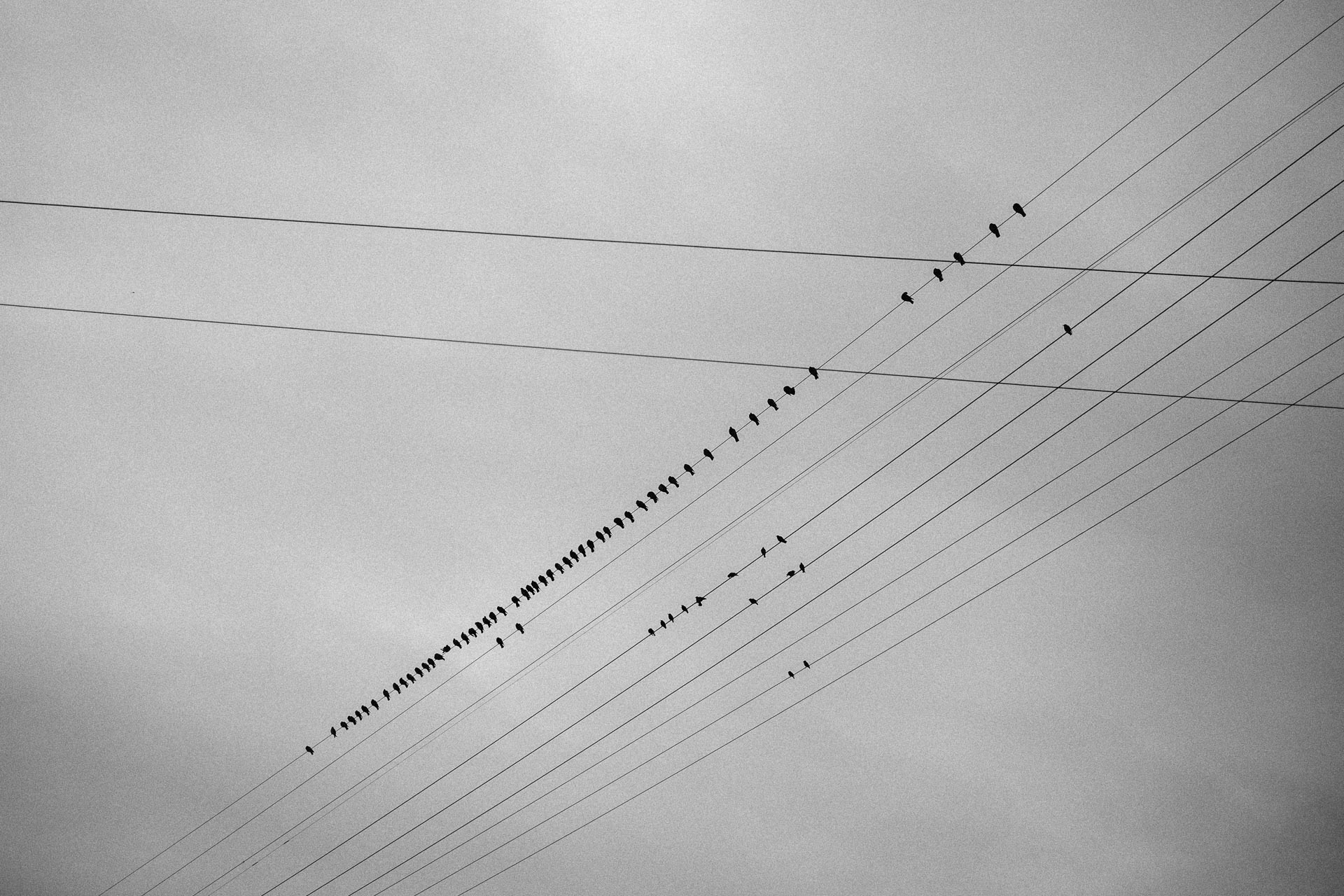 Malibu Los Angeles Engagement in California by Jean-Laurent Gaudy Photography