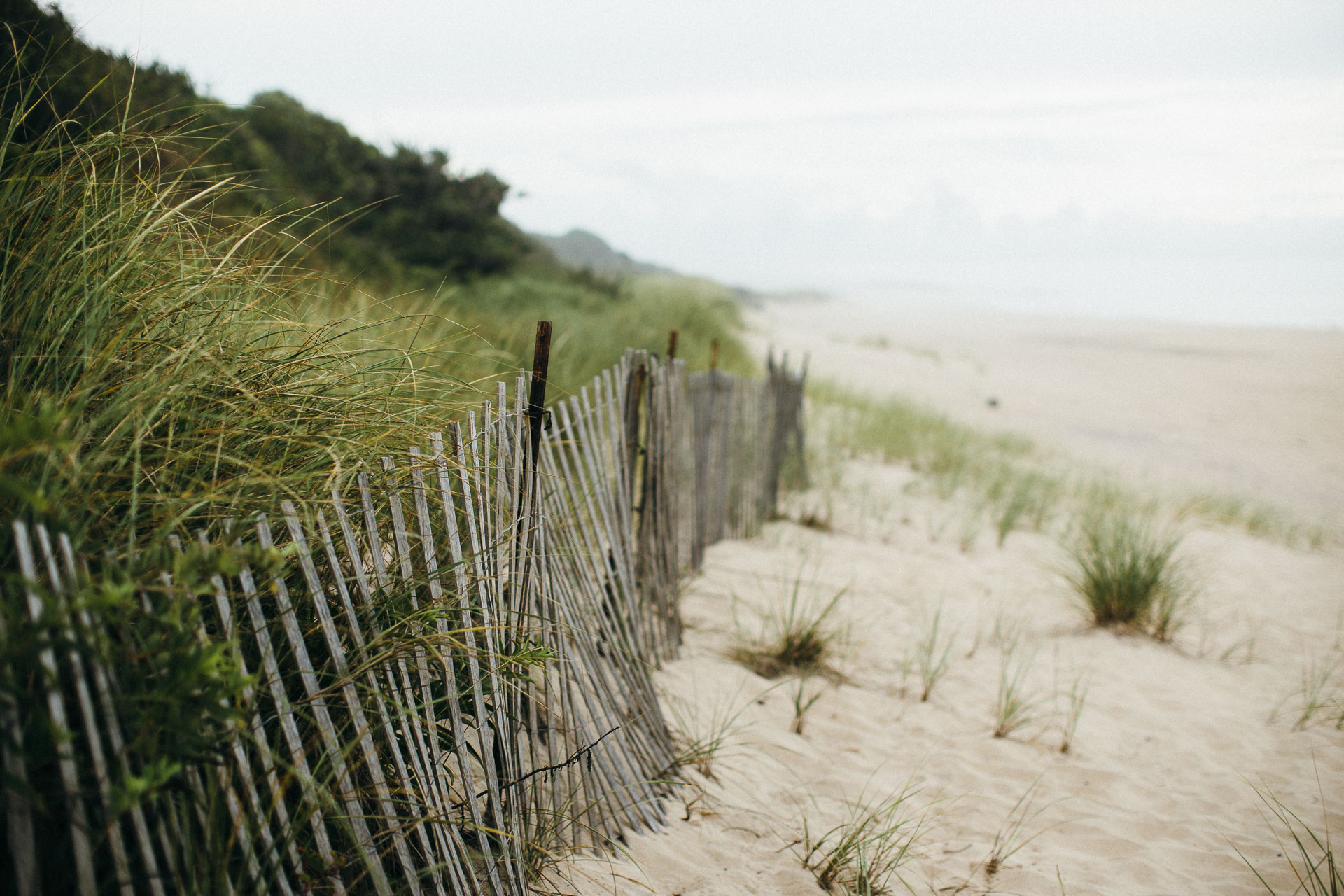 Filiz & Greg Montauk Intimate Wedding by Jean-Laurent Gaudy Photography