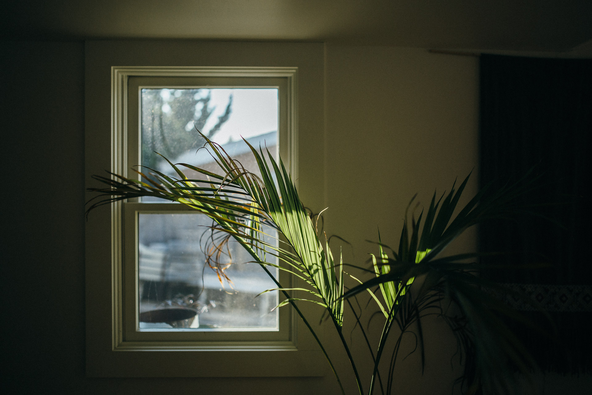 Filiz & Greg Montauk Intimate Wedding by Jean-Laurent Gaudy Photography