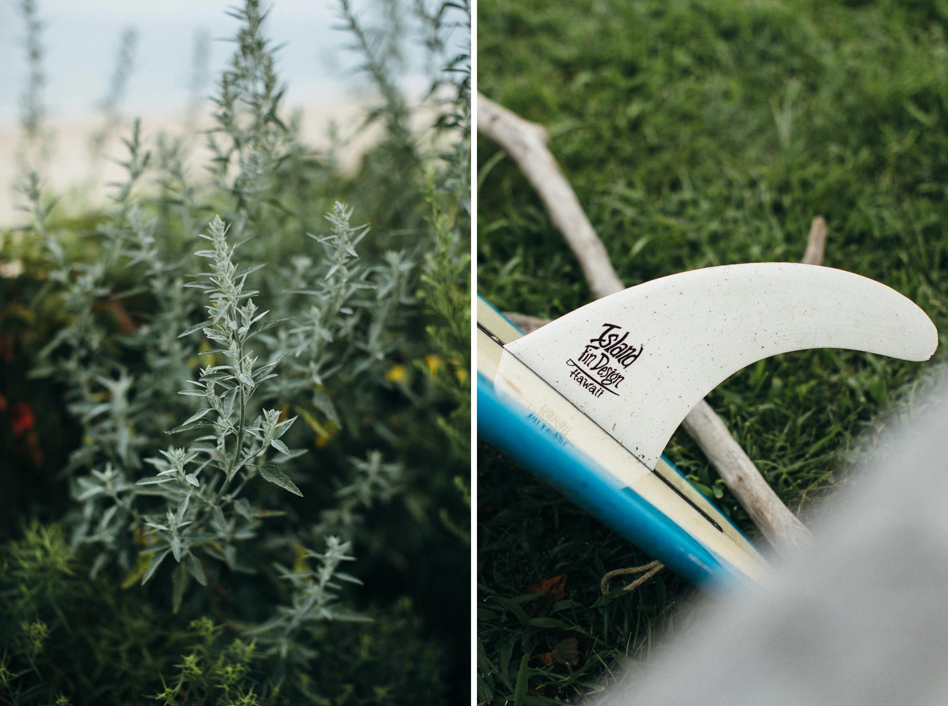 Filiz & Greg Montauk Intimate Wedding by Jean-Laurent Gaudy Photography