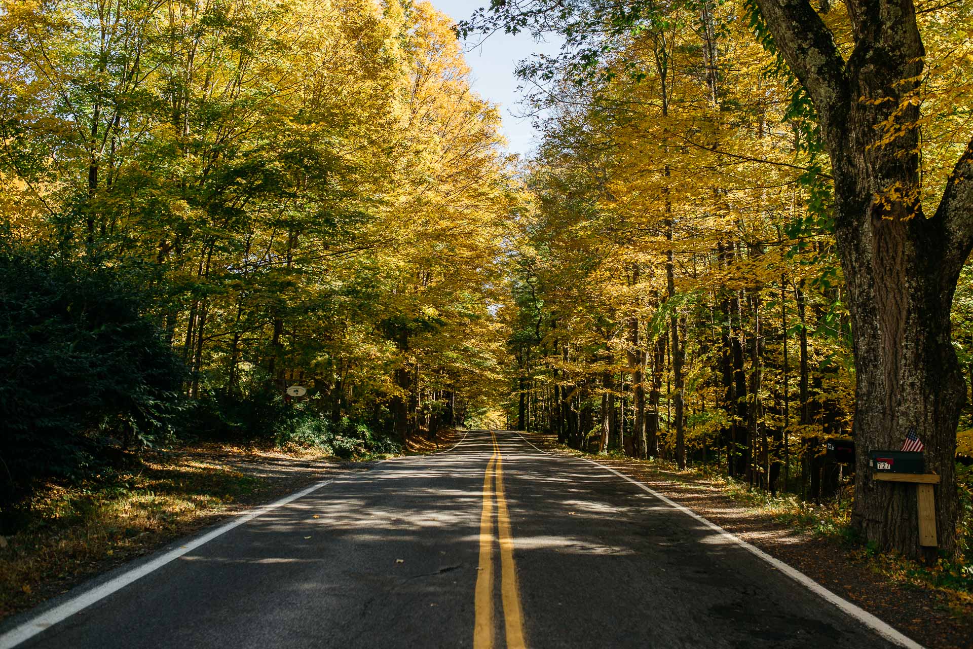 Foxfire Mountain House Elopement by Jean-Laurent Gaudy Photography-8