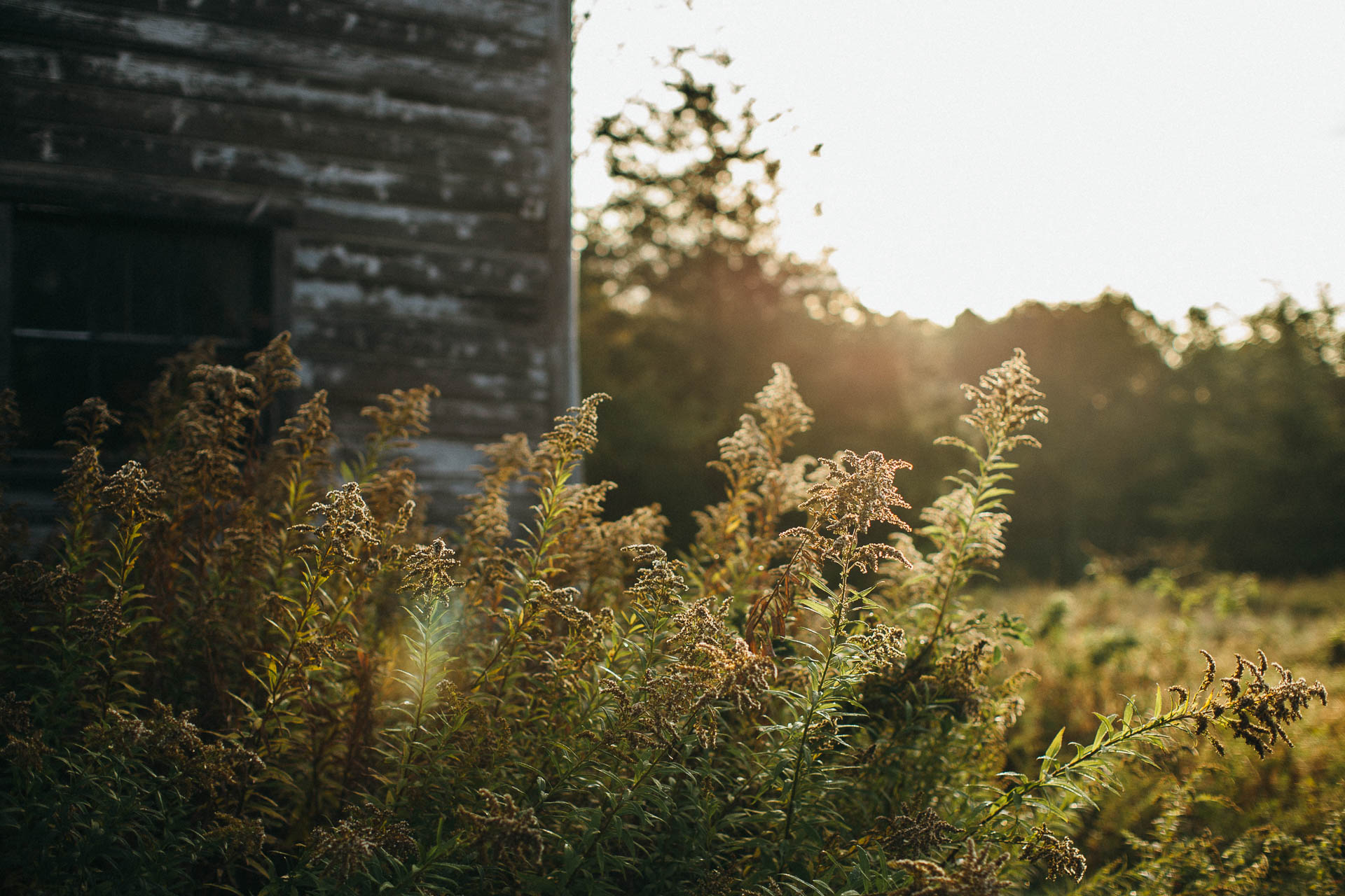 Foxfire Mountain House Elopement by Jean-Laurent Gaudy Photography
