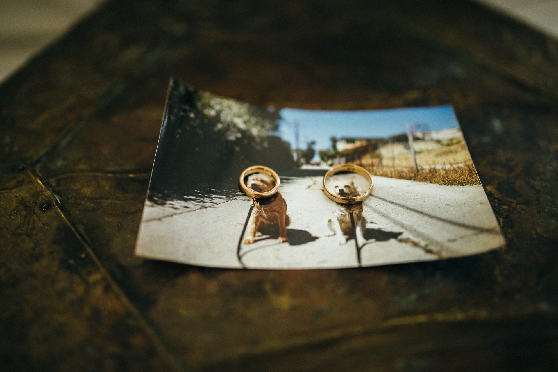 Foxfire Mountain House Elopement by Jean-Laurent Gaudy Photography