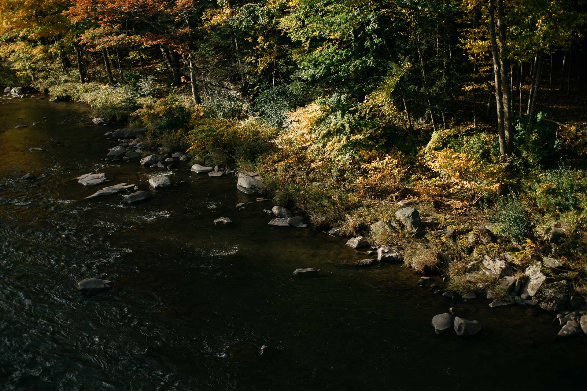 Foxfire Mountain House Elopement by Jean-Laurent Gaudy Photography