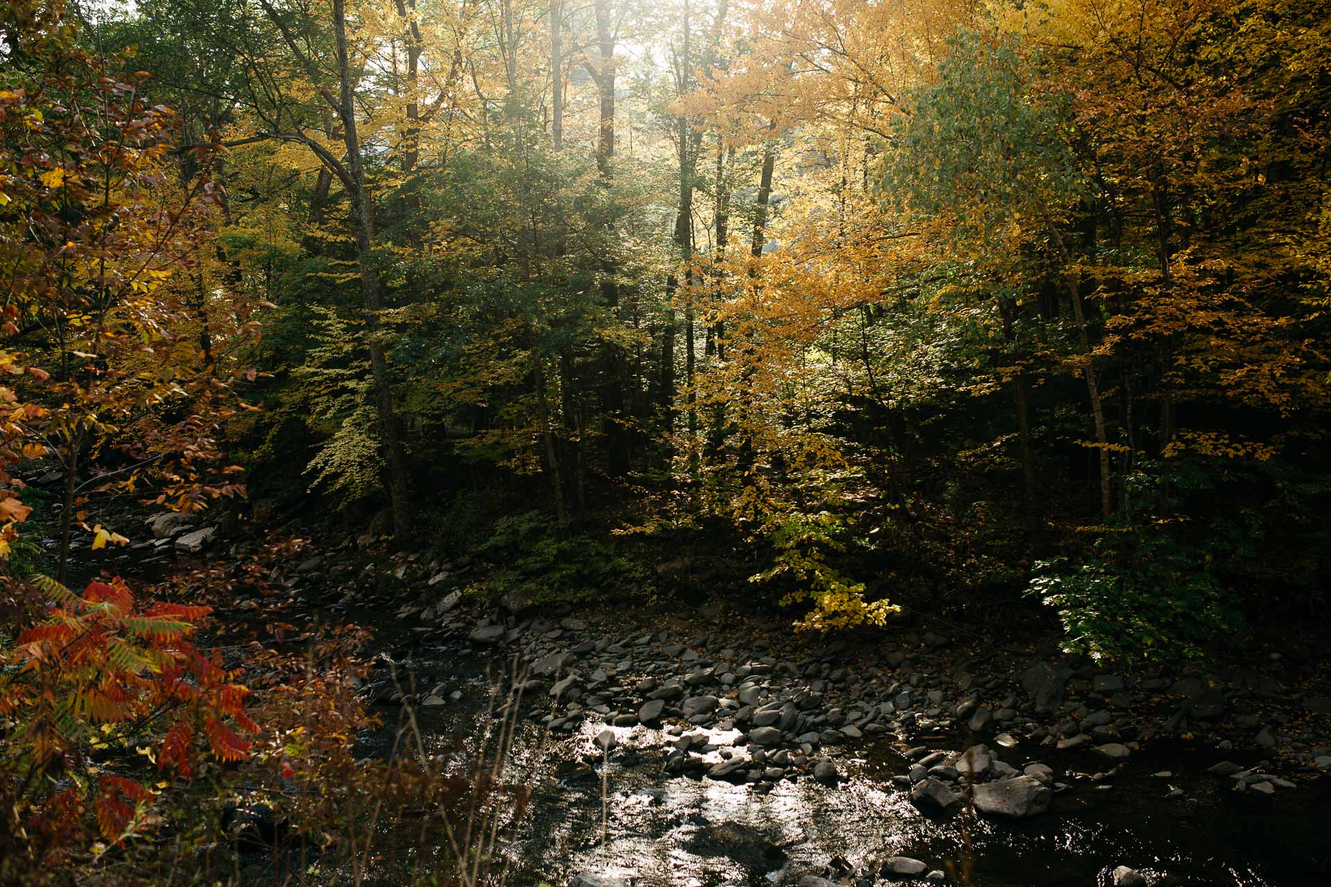 Foxfire Mountain House Elopement by Jean-Laurent Gaudy Photography