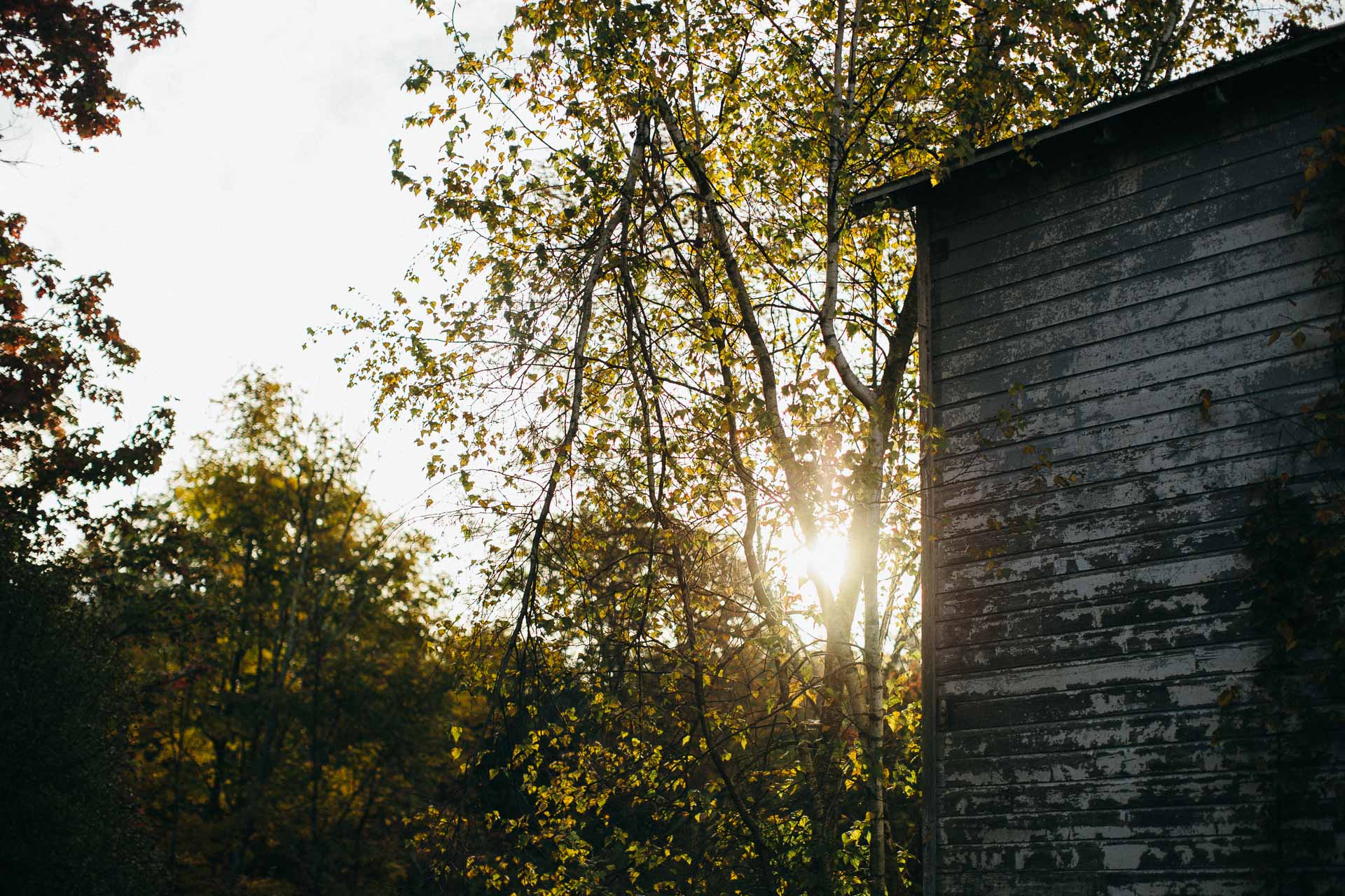 Foxfire Mountain House Elopement by Jean-Laurent Gaudy Photography