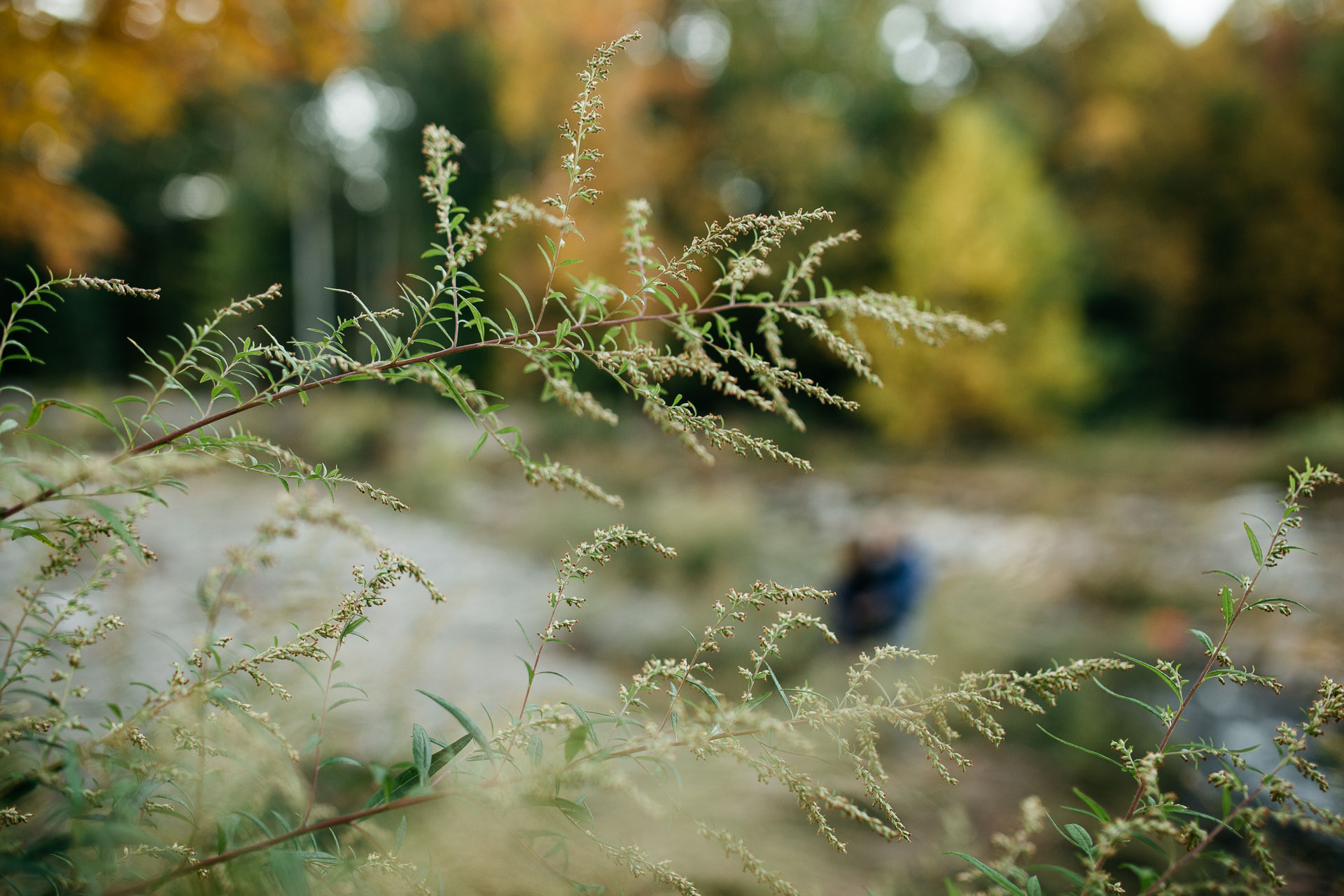 Foxfire Mountain House Elopement by Jean-Laurent Gaudy Photography