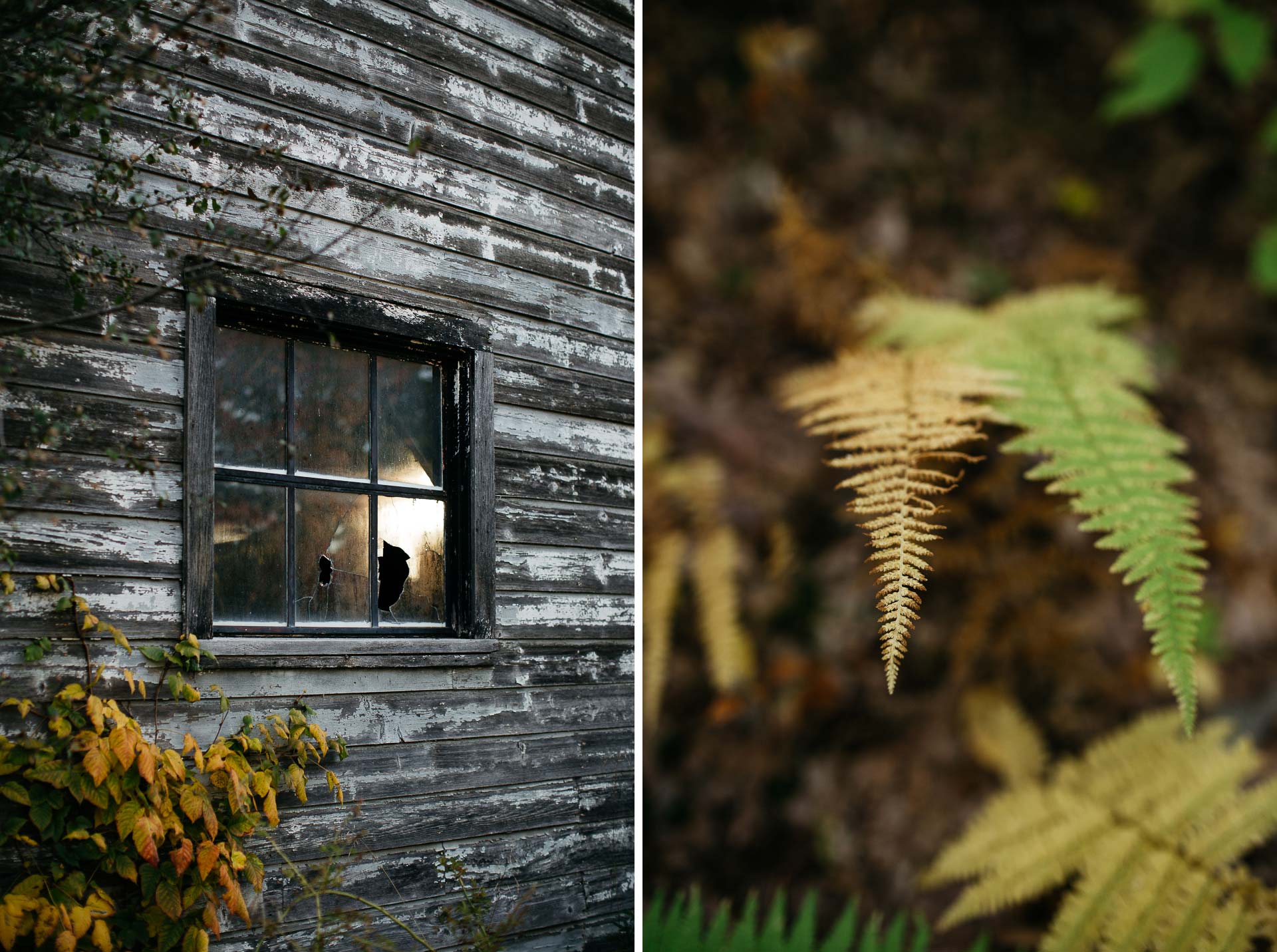 Foxfire Mountain House Elopement by Jean-Laurent Gaudy Photography