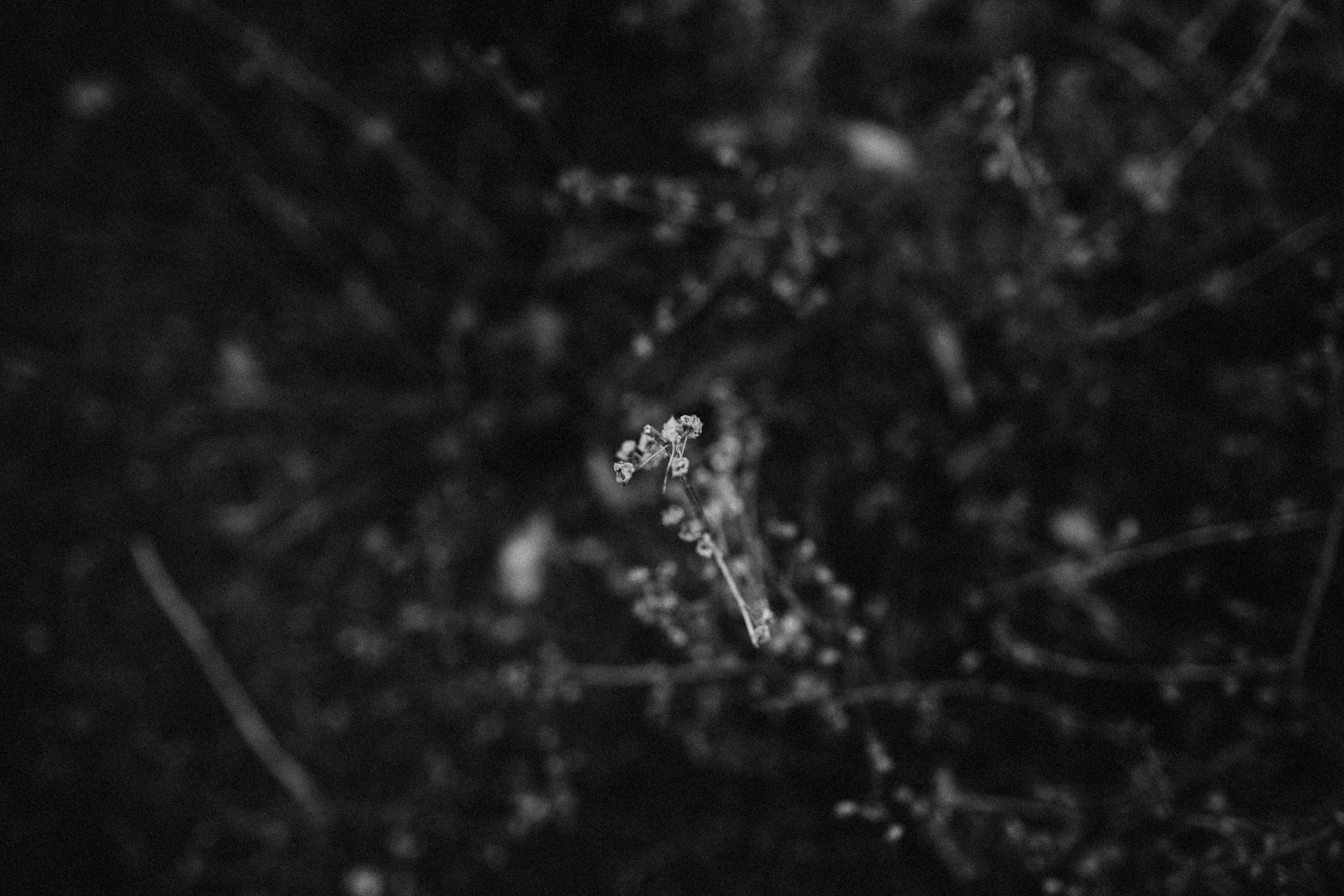 Palos Verdes Engagement in California by Jean-Laurent Gaudy Photography