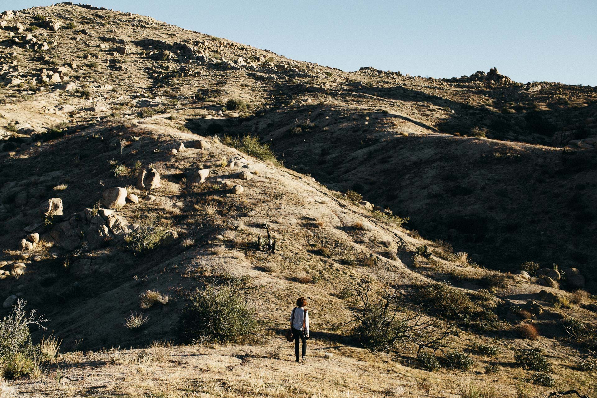 PalmSprings_JeanLaurentGaudy_004-California