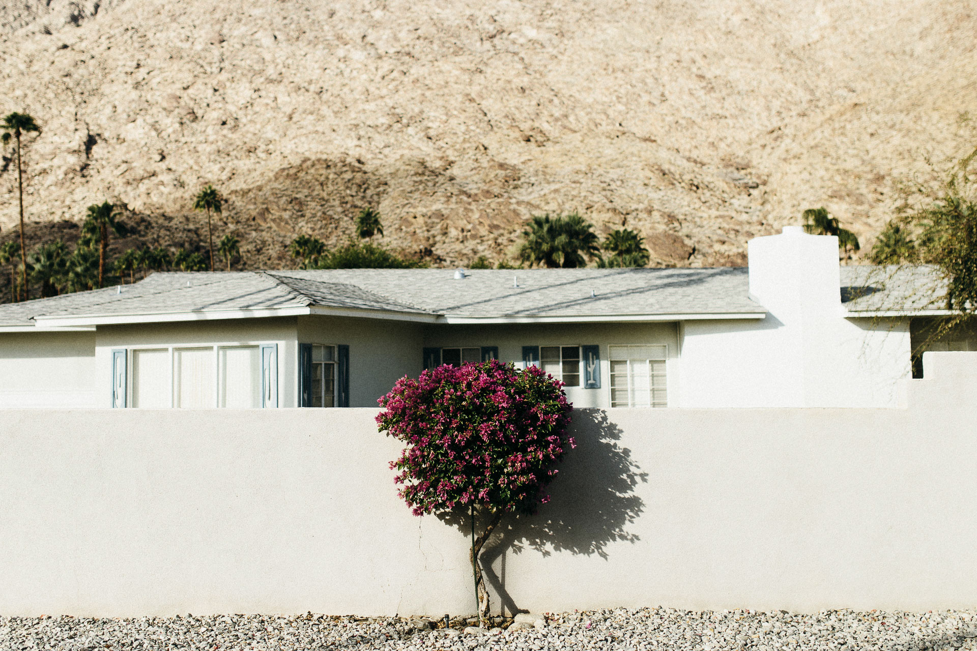 PalmSprings_JeanLaurentGaudy_017-California