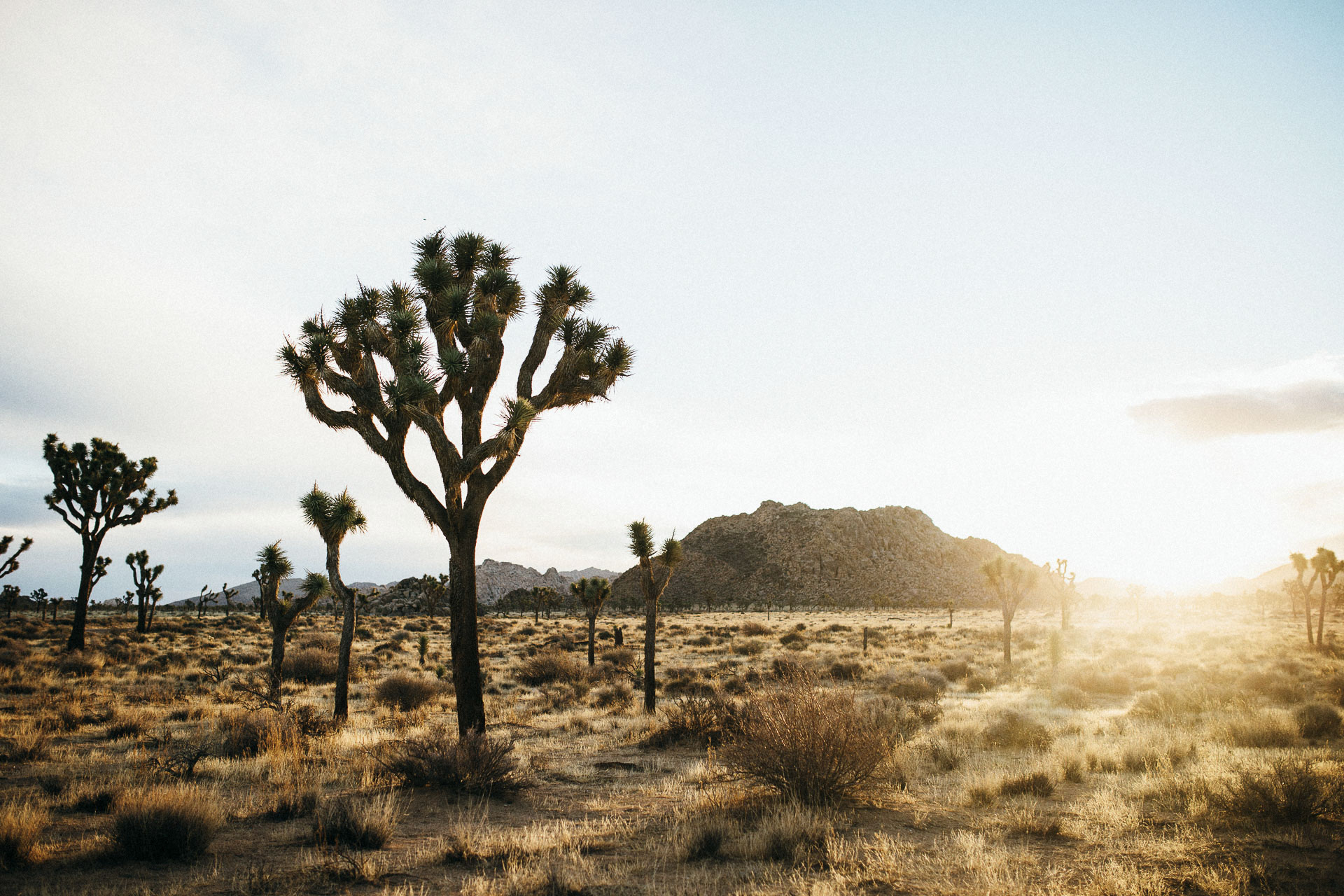 PalmSprings_JeanLaurentGaudy_024-California