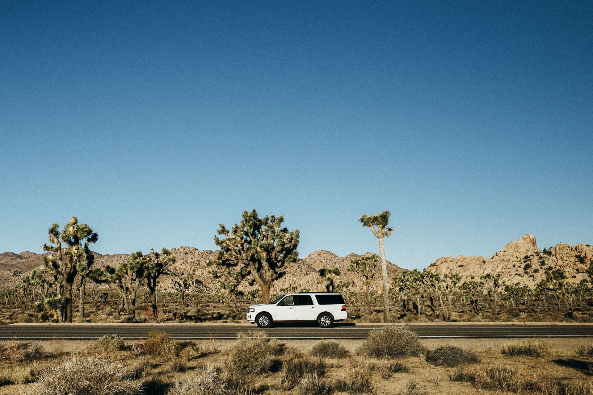 PalmSprings_JeanLaurentGaudy_030-California