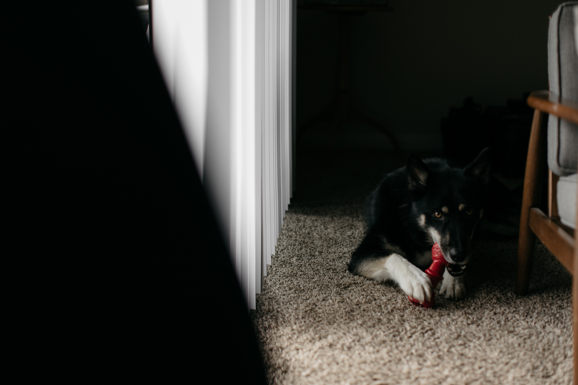 Portrait Nashville Photographer : Nicola, by Jean-Laurent Gaudy Photography