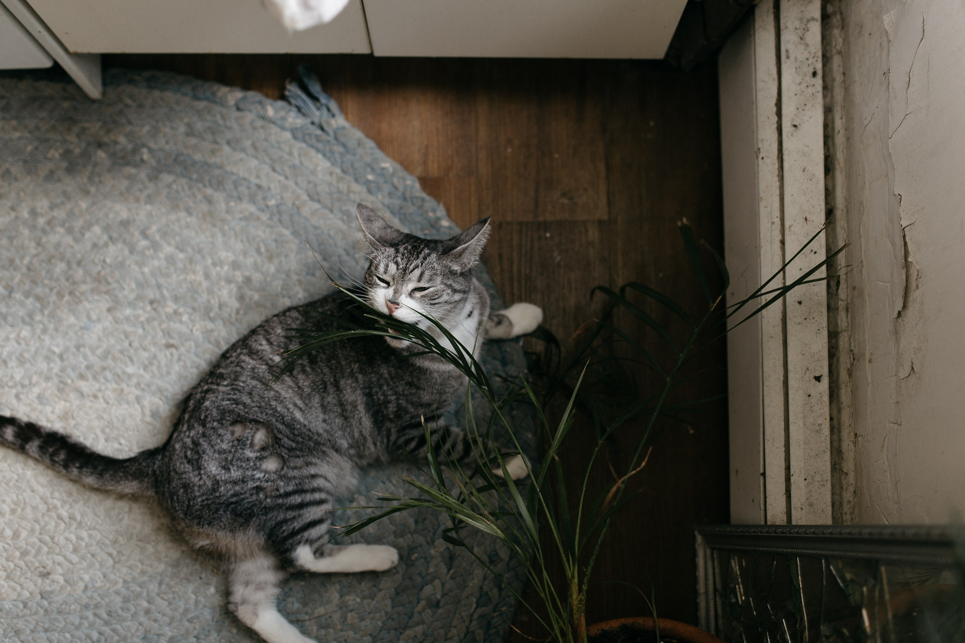 Portrait Photographer Brooklyn by Jean-Laurent Gaudy Photography