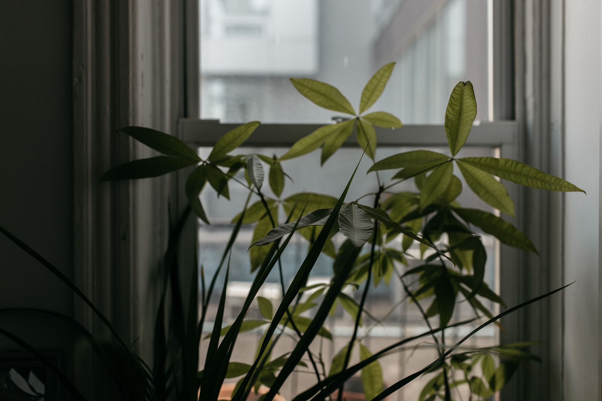 Portrait Photographer Brooklyn by Jean-Laurent Gaudy Photography