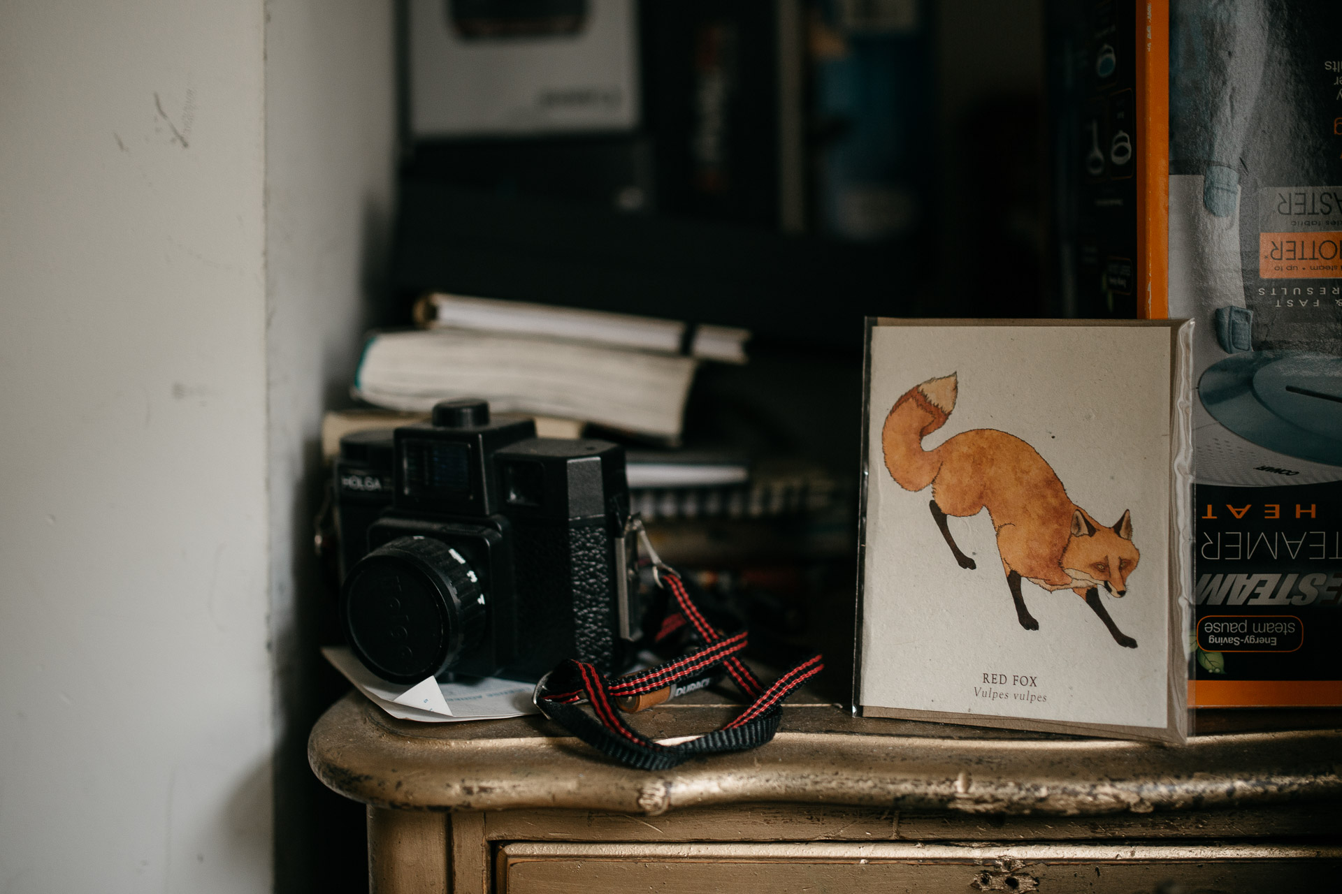 Portrait Photographer Brooklyn by Jean-Laurent Gaudy Photography