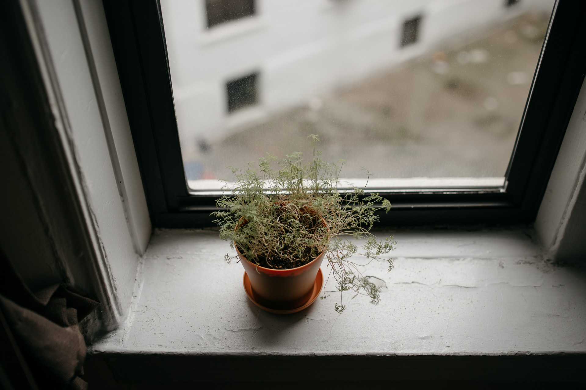 Astoria Engagement in New York by Jean-Laurent Gaudy Photography