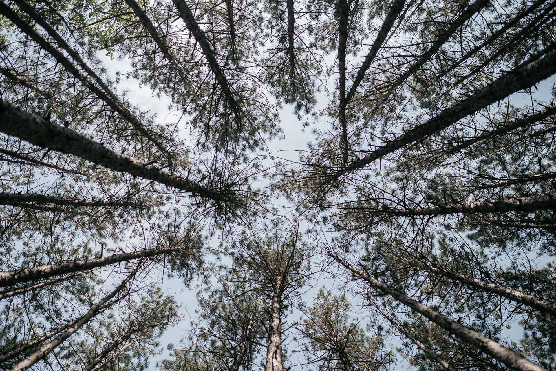 Roxbury Barn Wedding in The Catskills Mountains by Jean-Laurent Gaudy Photography