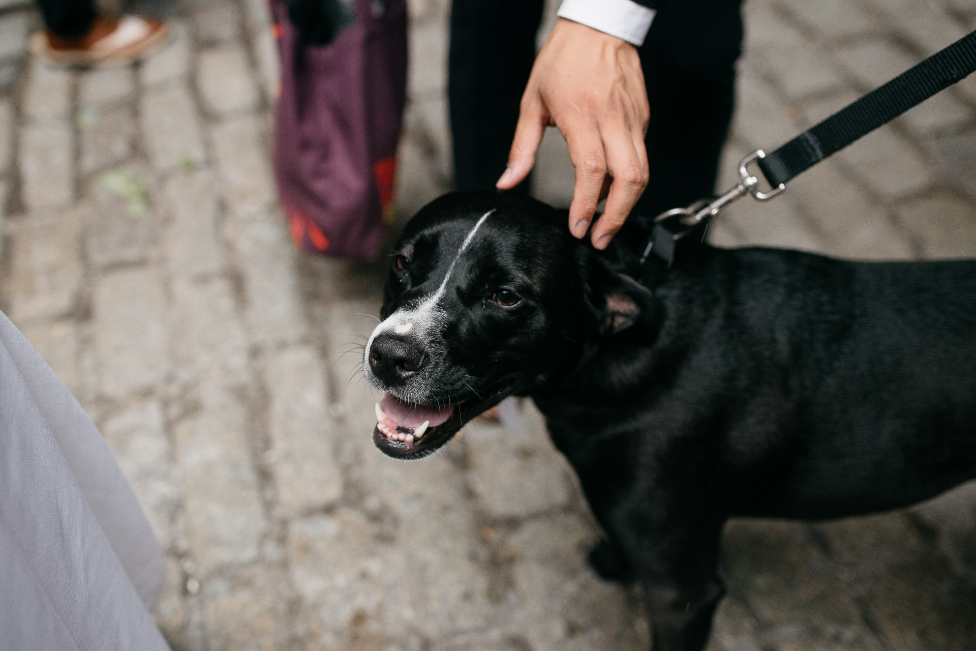 Greenpoint Wedding By Jean-Laurent Gaudy Photography