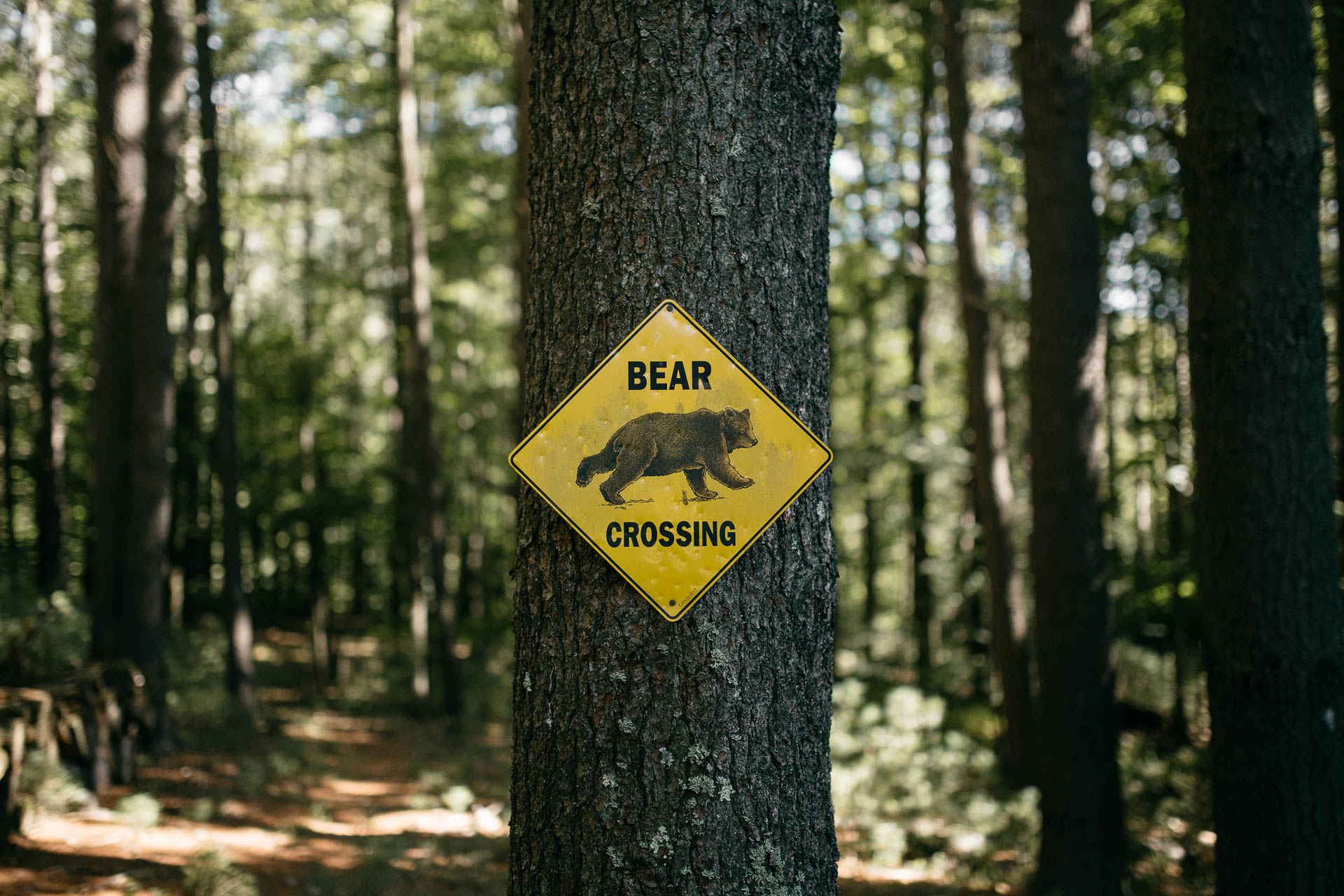 Same Sex Intimate Elopement In the Catskills Mountains by Jean-Laurent Gaudy Photography