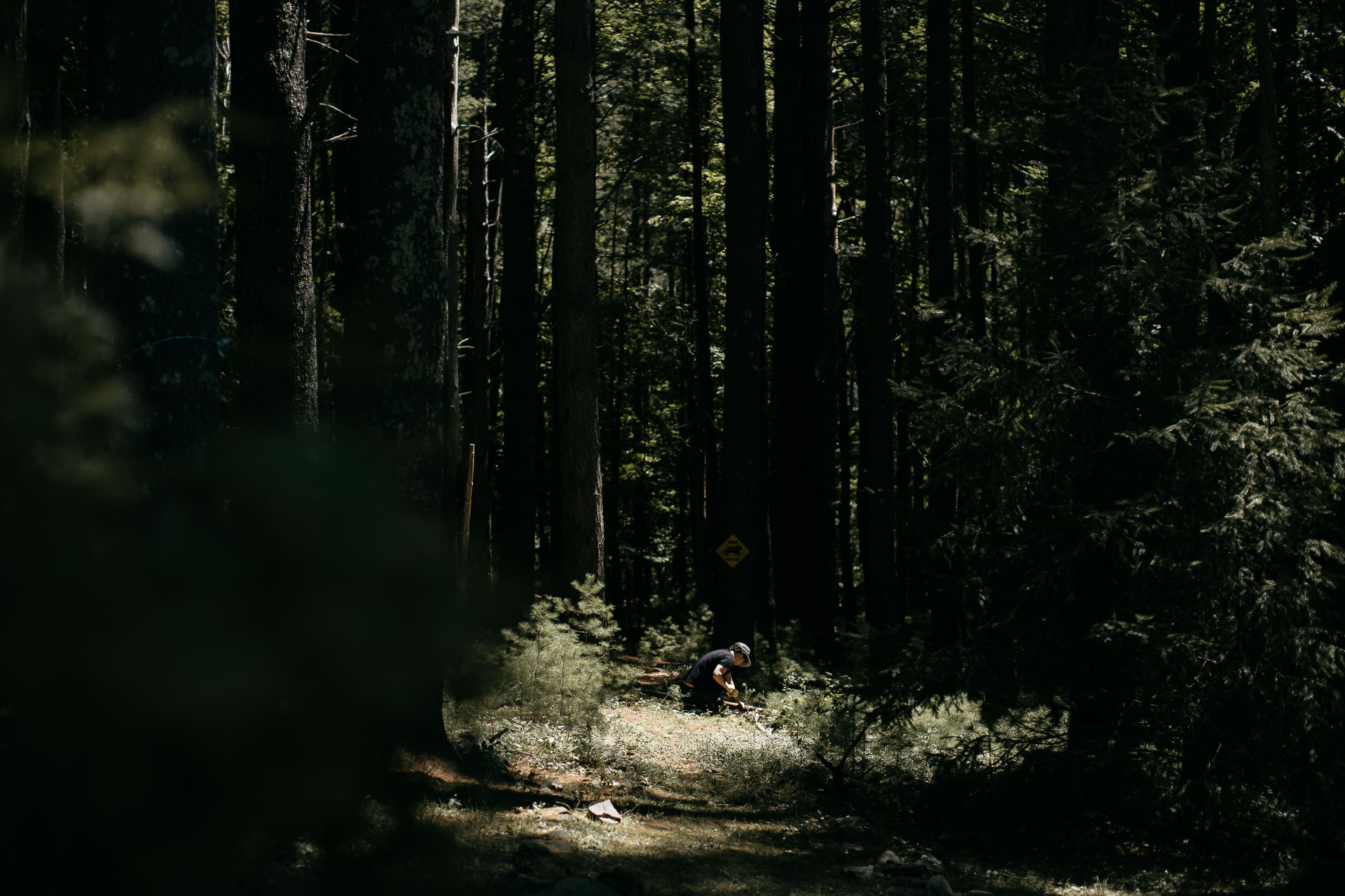 Same Sex Intimate Elopement In the Catskills Mountains by Jean-Laurent Gaudy Photography