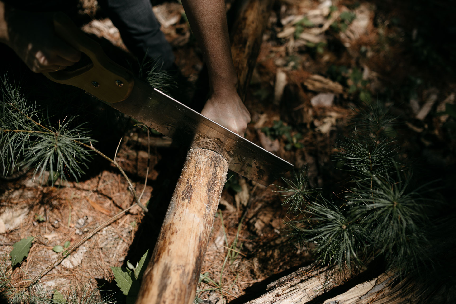 Same Sex Intimate Elopement In the Catskills Mountains by Jean-Laurent Gaudy Photography