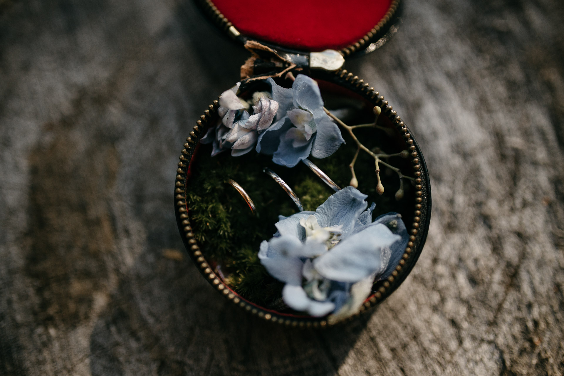 Same Sex Intimate Elopement In the Catskills Mountains by Jean-Laurent Gaudy Photography