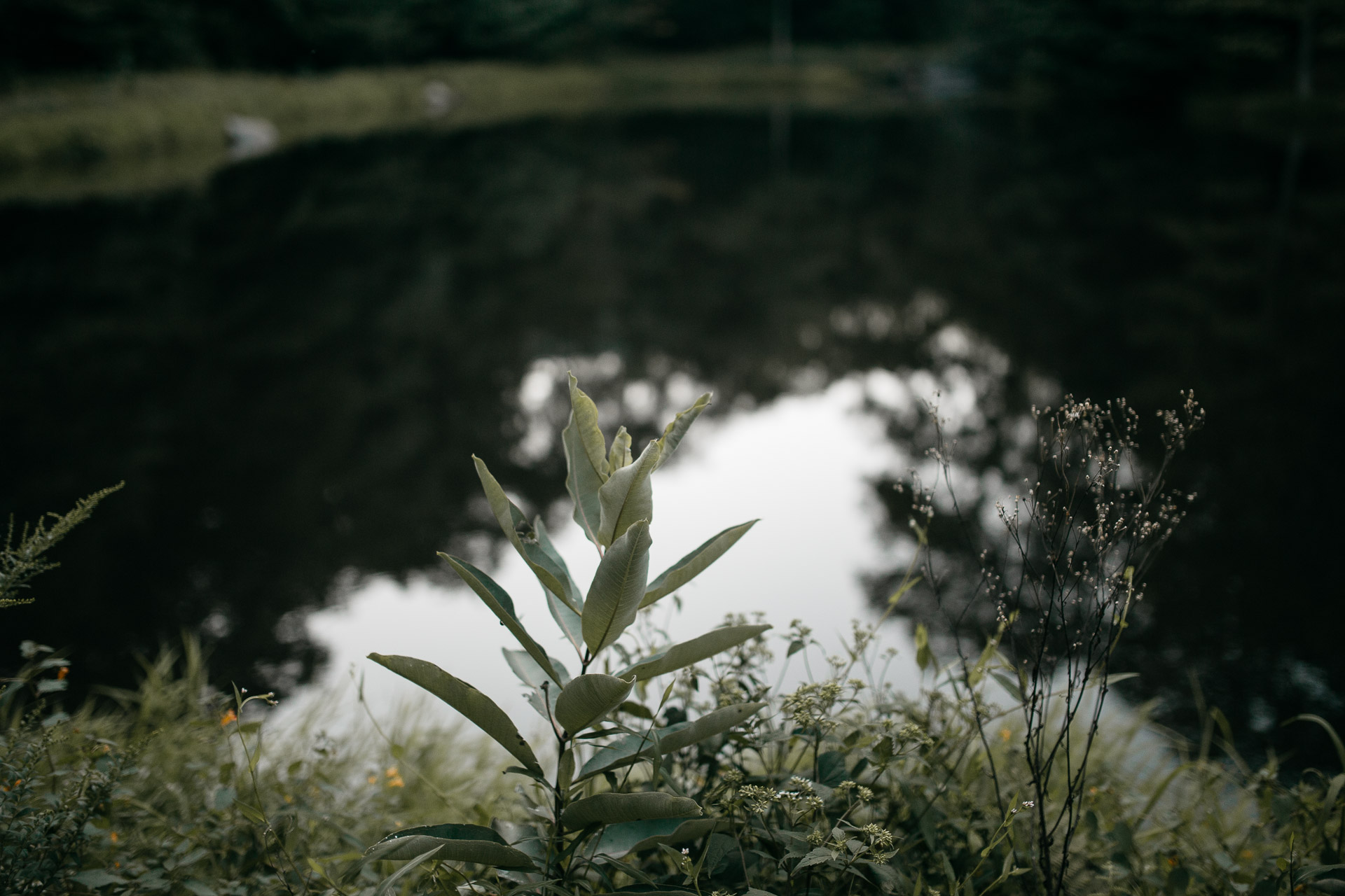 Same Sex Intimate Elopement In the Catskills Mountains by Jean-Laurent Gaudy Photography