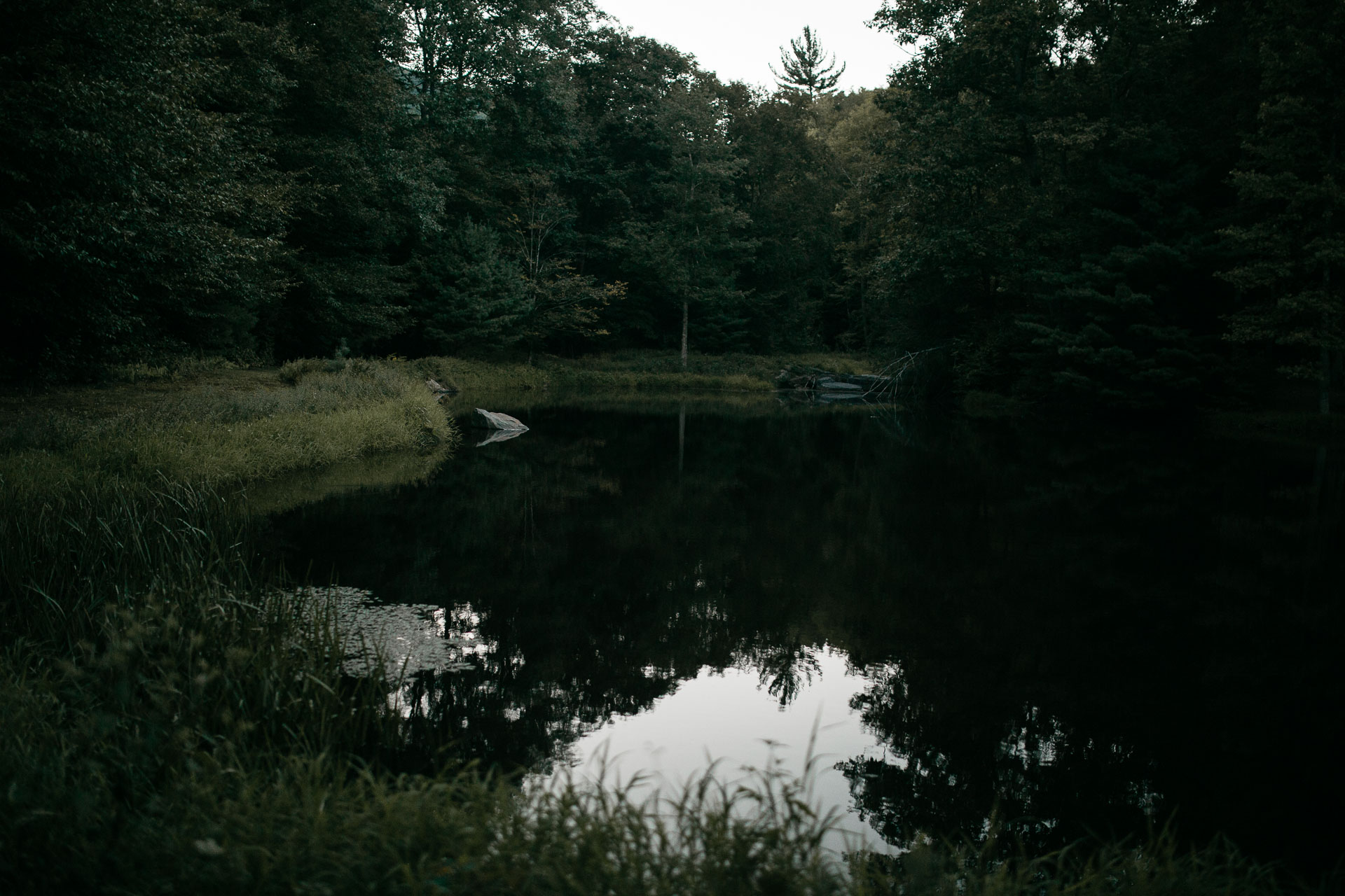 Same Sex Intimate Elopement In the Catskills Mountains by Jean-Laurent Gaudy Photography