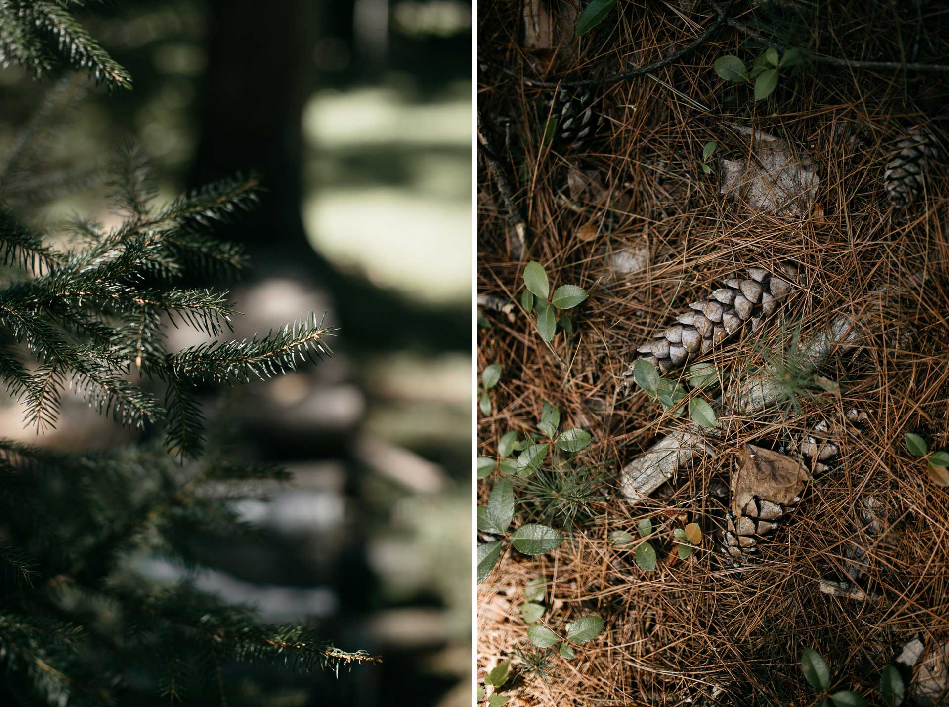 Same Sex Intimate Elopement In the Catskills Mountains by Jean-Laurent Gaudy Photography