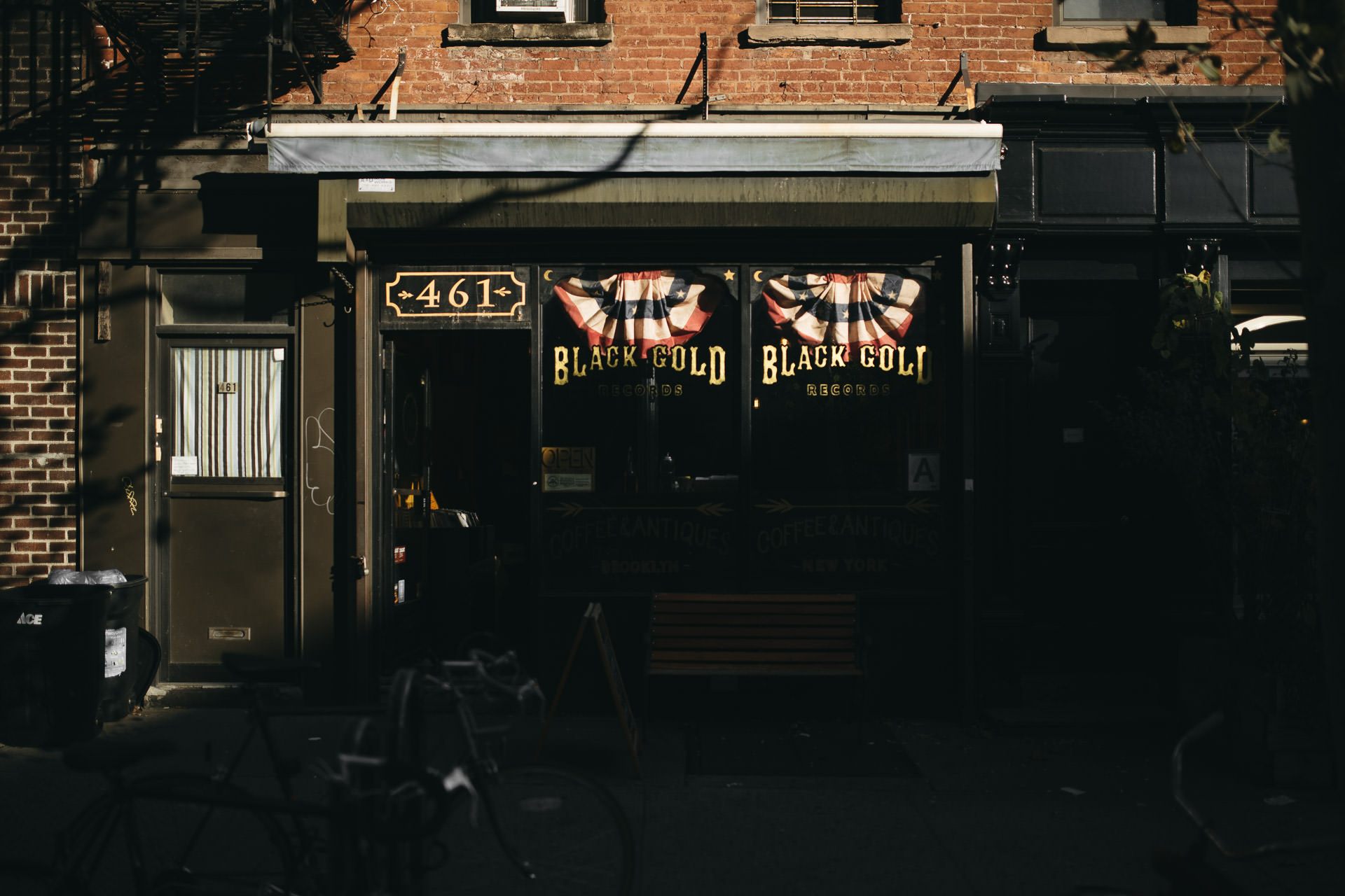 Robyn & Jim Intimate Brooklyn Engagement By Jean-Laurent Gaudy Photography