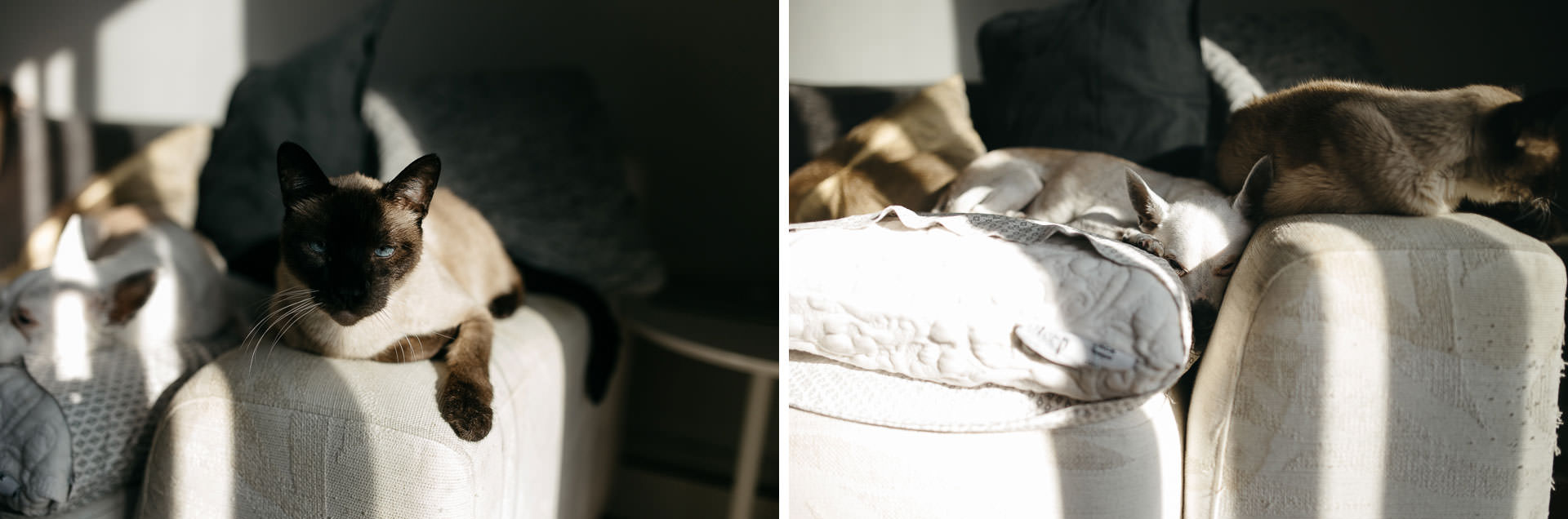 Robyn & Jim Intimate Brooklyn Engagement By Jean-Laurent Gaudy Photography