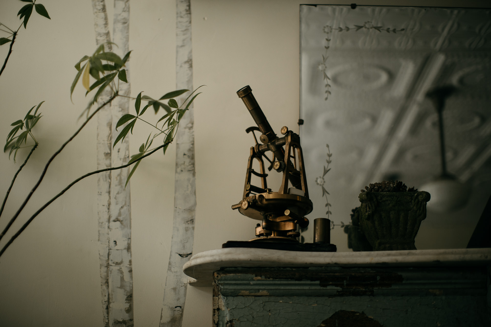 Beth & Levi's backyard Elopement in Brooklyn by Jean-Laurent Gaudy