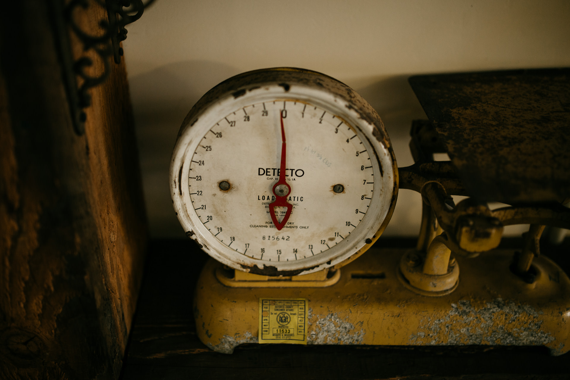 Beth & Levi's backyard Elopement in Brooklyn by Jean-Laurent Gaudy
