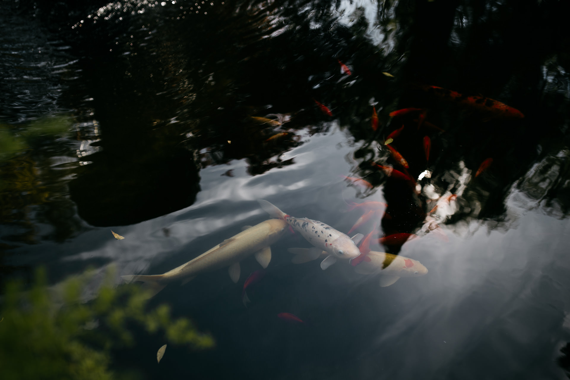 lauren_graham_wedding_california_park_winters_jeanlaurentgaudy_008