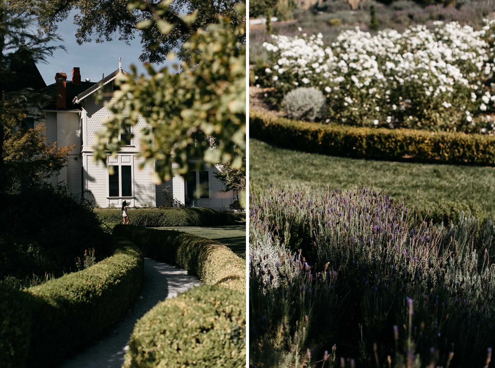 lauren_graham_wedding_california_park_winters_jeanlaurentgaudy_mix002