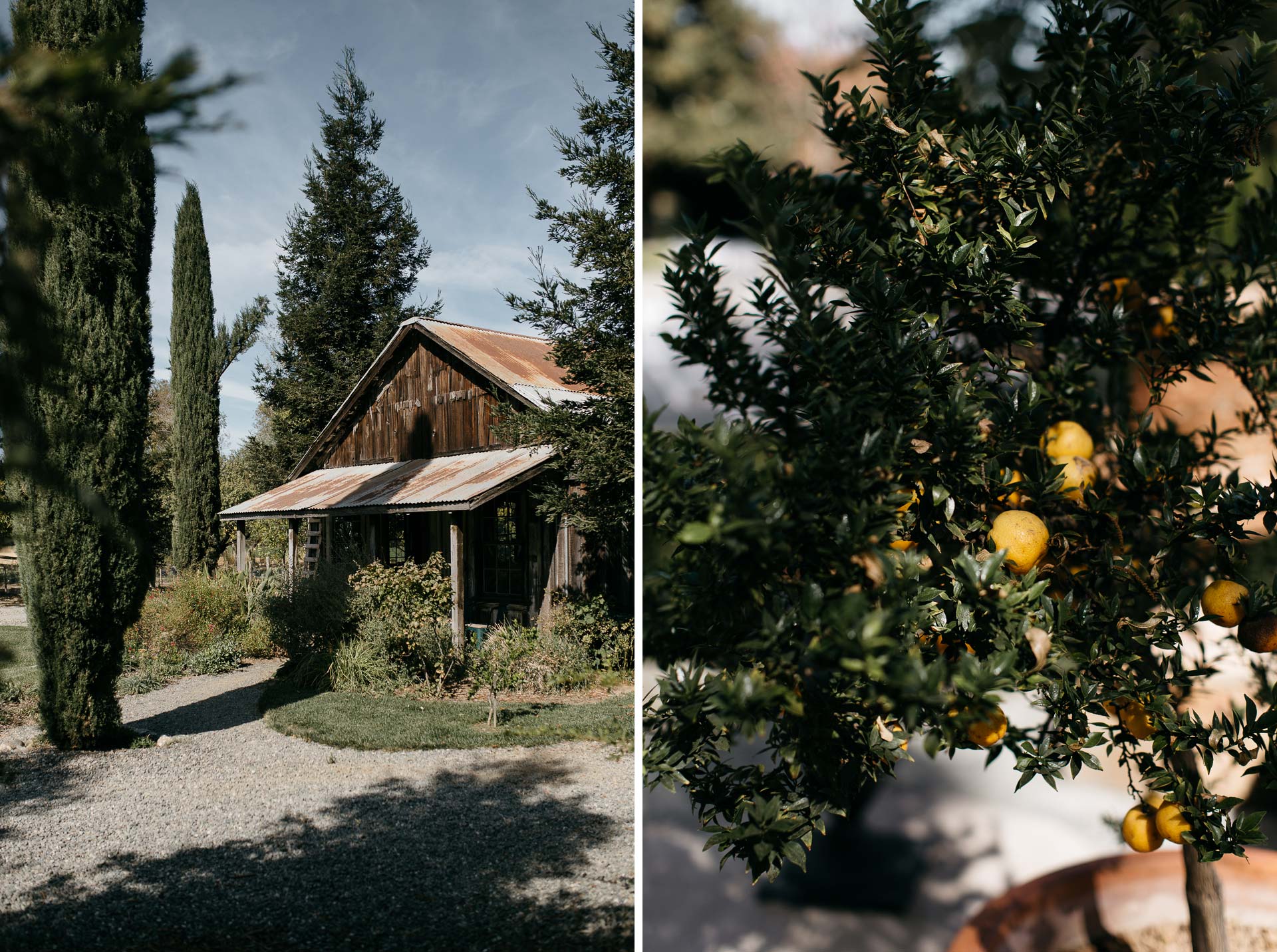 lauren_graham_wedding_california_park_winters_jeanlaurentgaudy_mix006