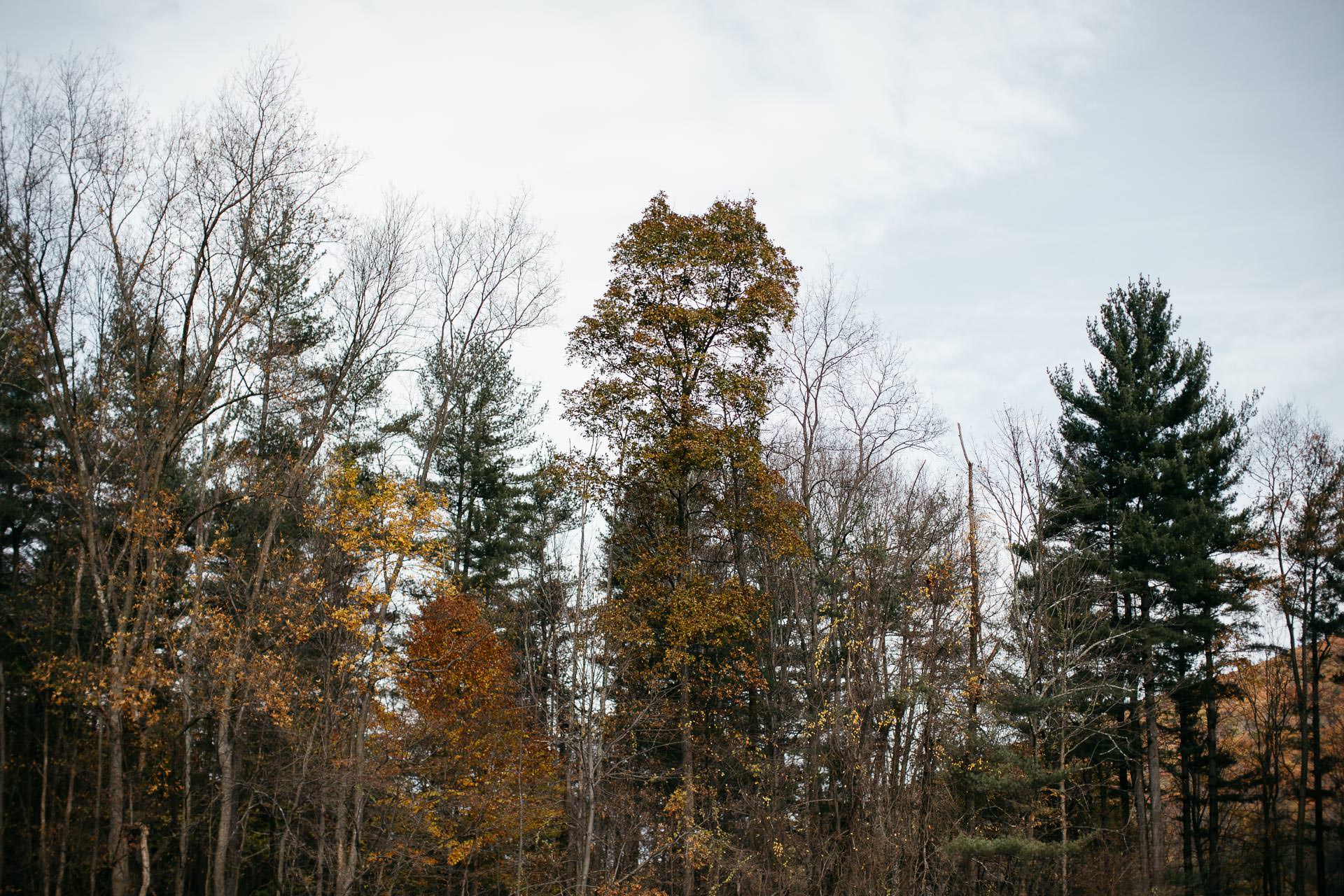 Robyn & Jim Catskills Fall Wedding at Foxfire Mountain House by Jean-Laurent Gaudy Photography