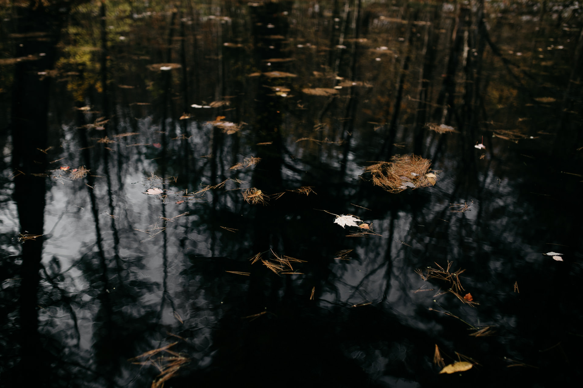 Robyn & Jim Catskills Fall Wedding at Foxfire Mountain House by Jean-Laurent Gaudy Photography