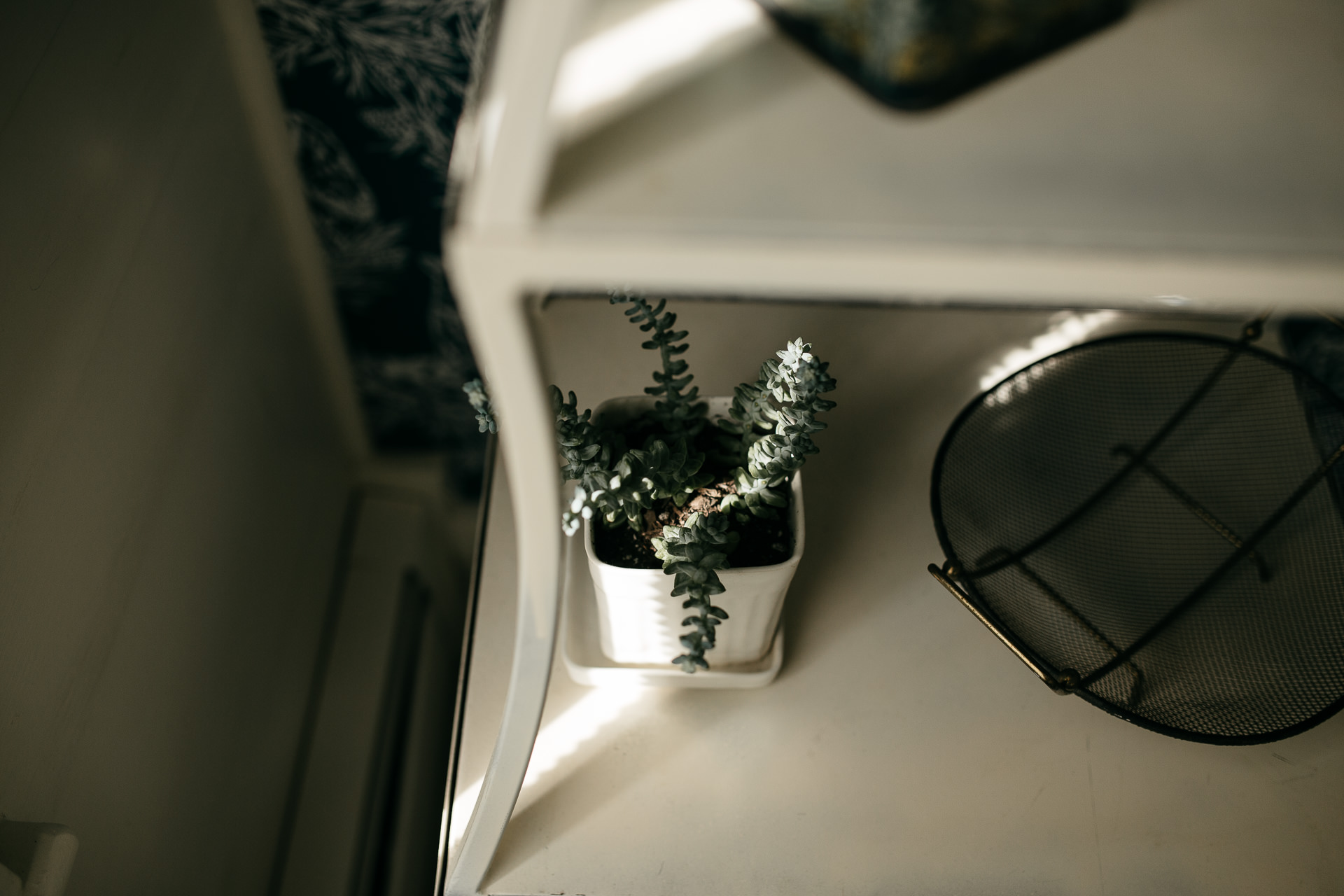 Robyn & Jim Catskills Fall Wedding at Foxfire Mountain House by Jean-Laurent Gaudy Photography