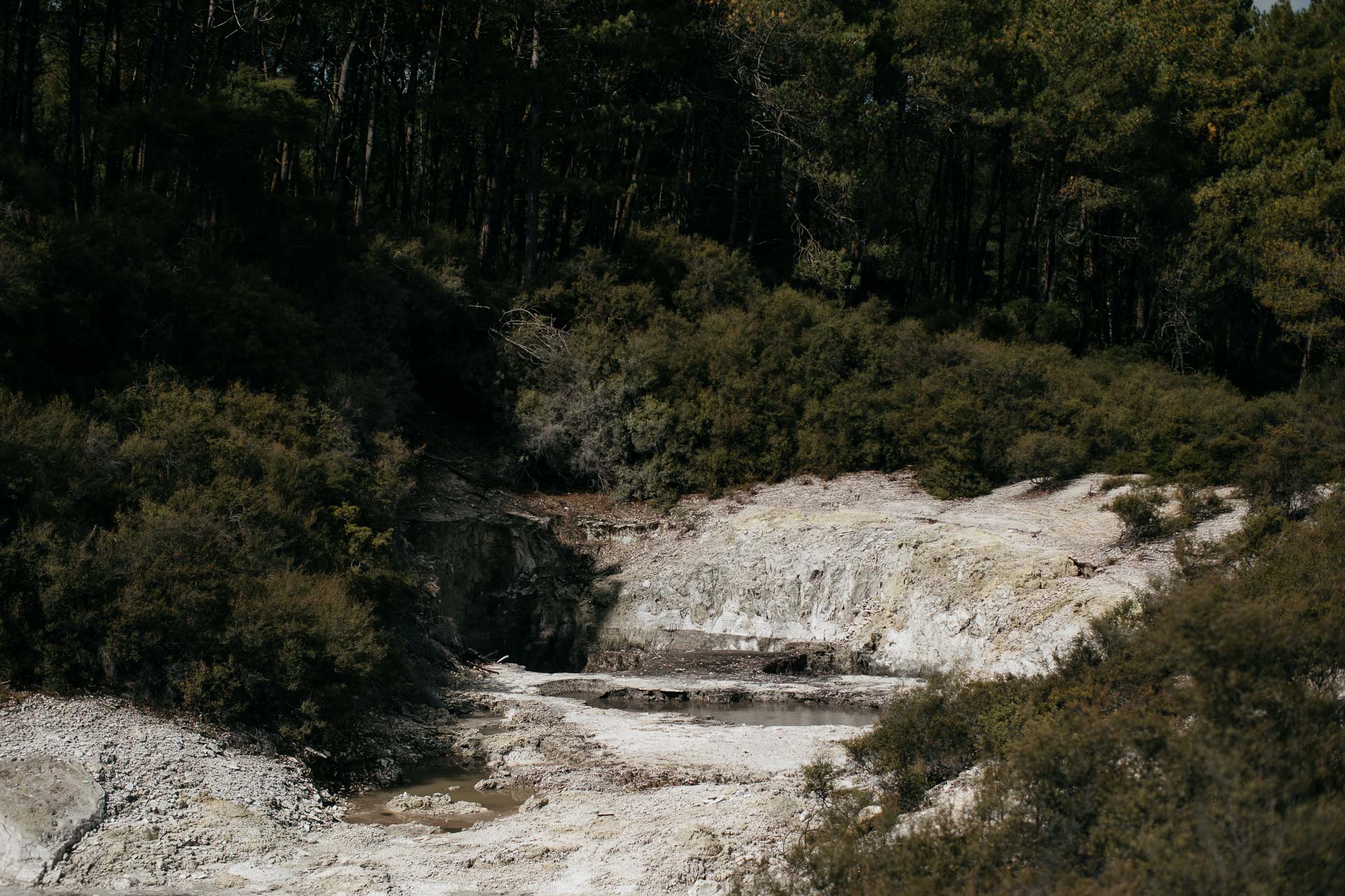 Courtney & James Engagement New Zealand