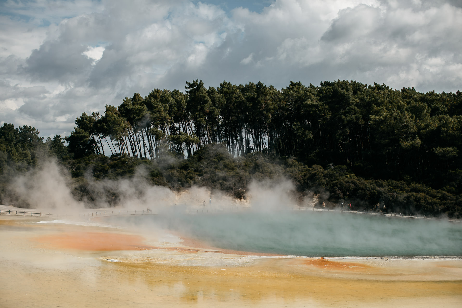 Courtney & James Engagement New Zealand